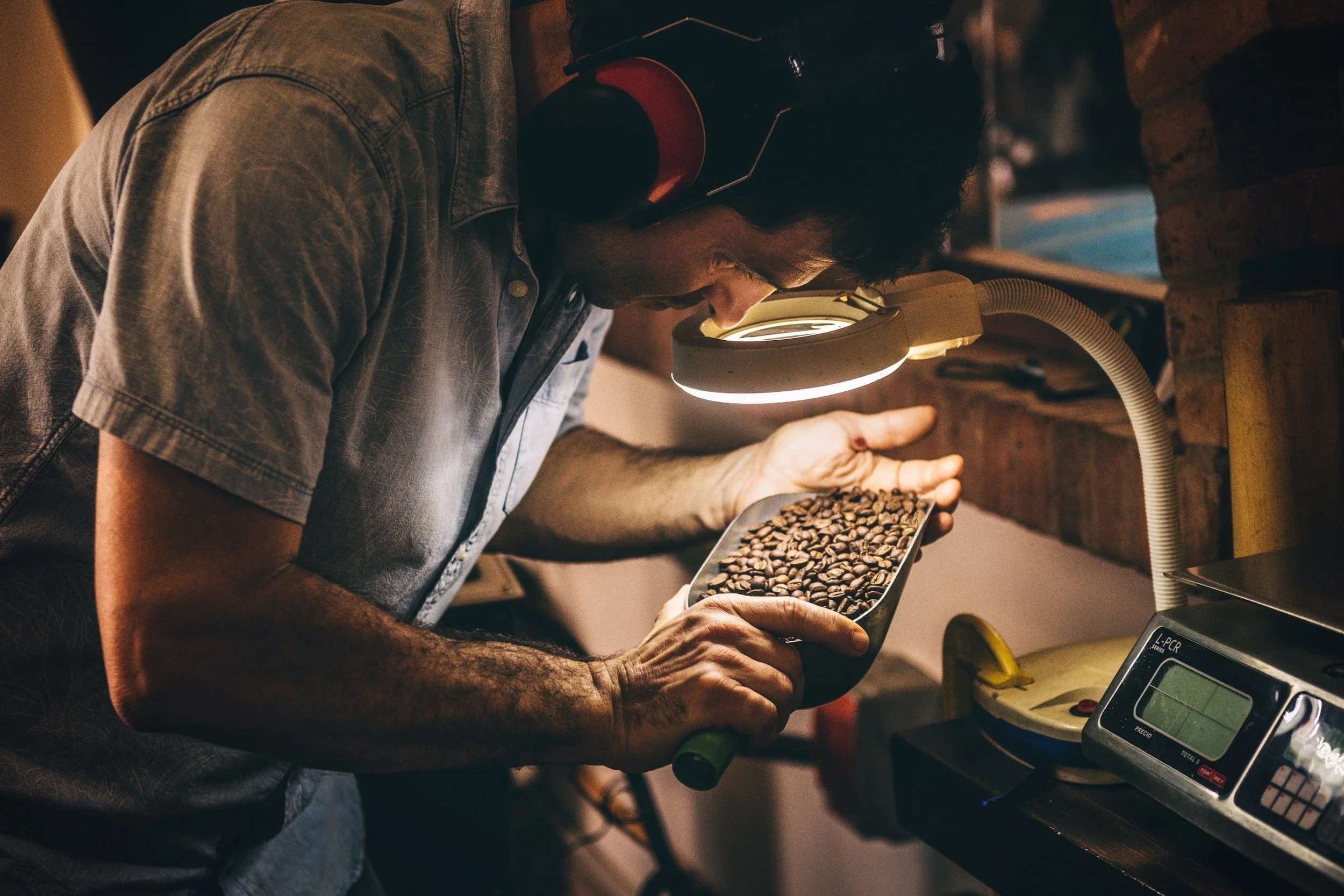 A man inspects roasted coffee beans under a magnifying lamp in a coffee roasting facility.