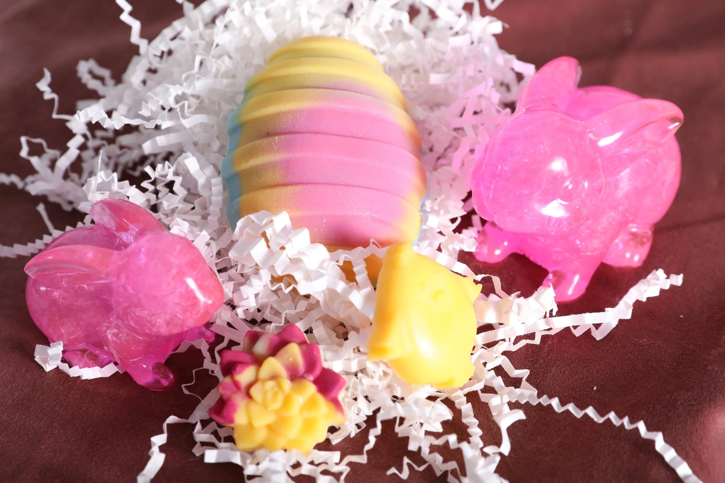 HOPPY SPRING COLLECTION