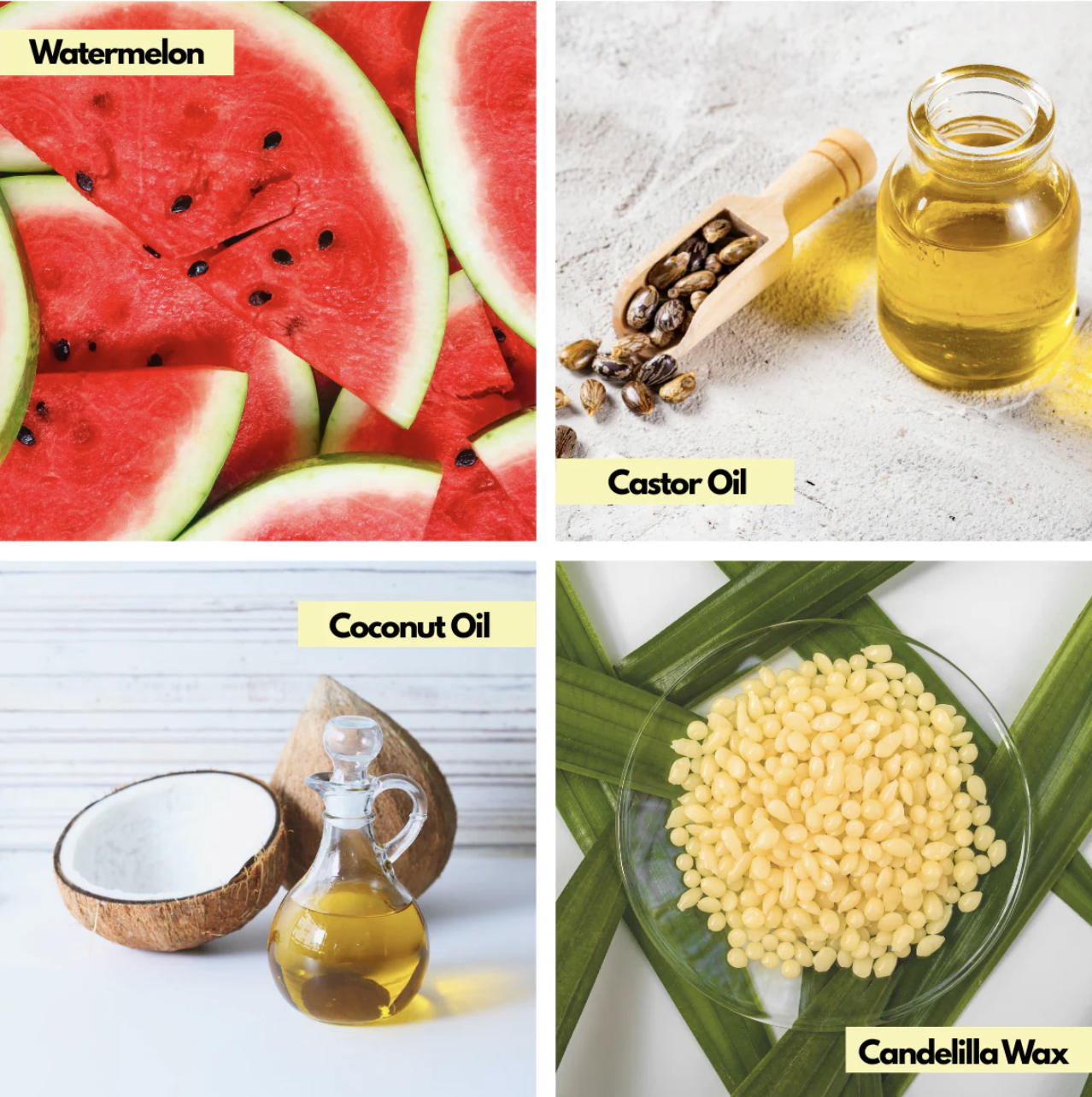 Screen Shot 2025-12-23 at 11.37.52 AM.png