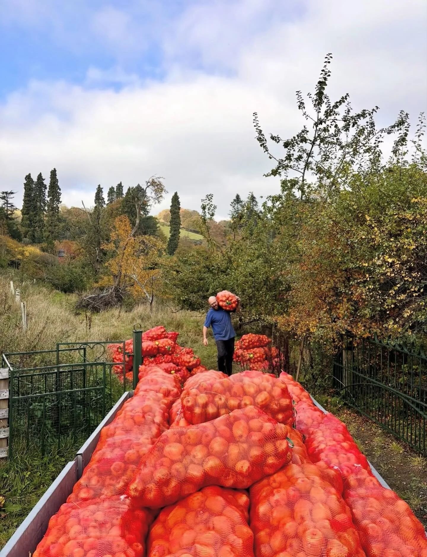 Fingask apples head to the scratter, ushering in cider season @guardswellfarm &mdash; Courtesy of @diggerscider