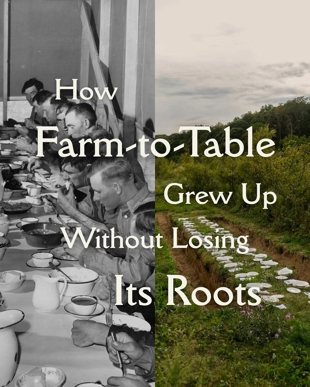 Backyard harvests, tables that travel the globe, member-led supper clubs, and Michelin stars, farm-to-table has made its victory lap. Lately, the table is celebrating creative excess and abundance all while putting the farm at the heart of it all. 

