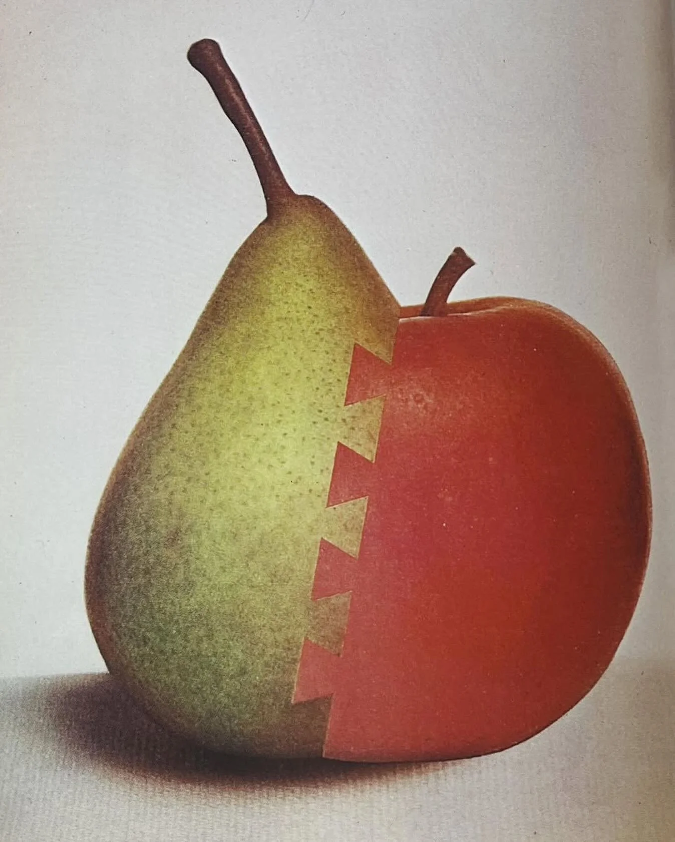 Sometimes our work feels just like this, orchard and workshop, past and present, dovetailed into one experience. 

Vogue 1966