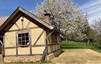      

 
    Op zondag 19 mei zijn de Weltermolen, hoogstamfruitboomgaard de Loorenhof en ’t Bakkes va Welte gelijktijdig geopend en kunnen belangstellenden een excursie volgen door en langs deze unieke locaties in Welten.  
 




















  
