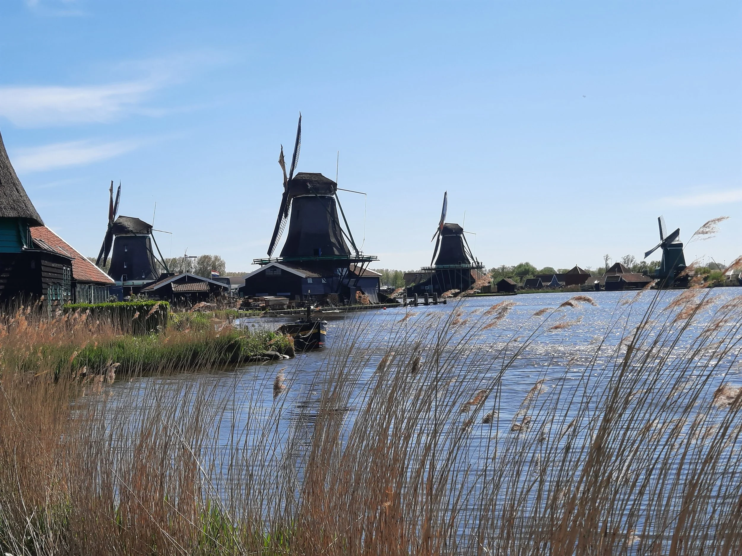 Op bezoek naar molens in de Zaanstreek