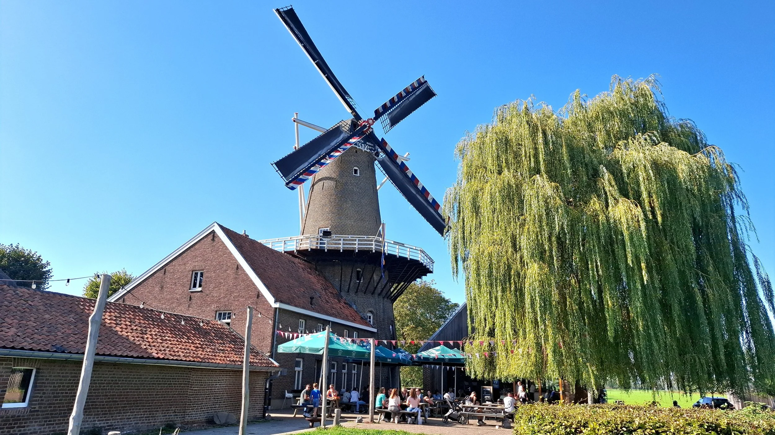 Limburgse molendag 2026, een impressie