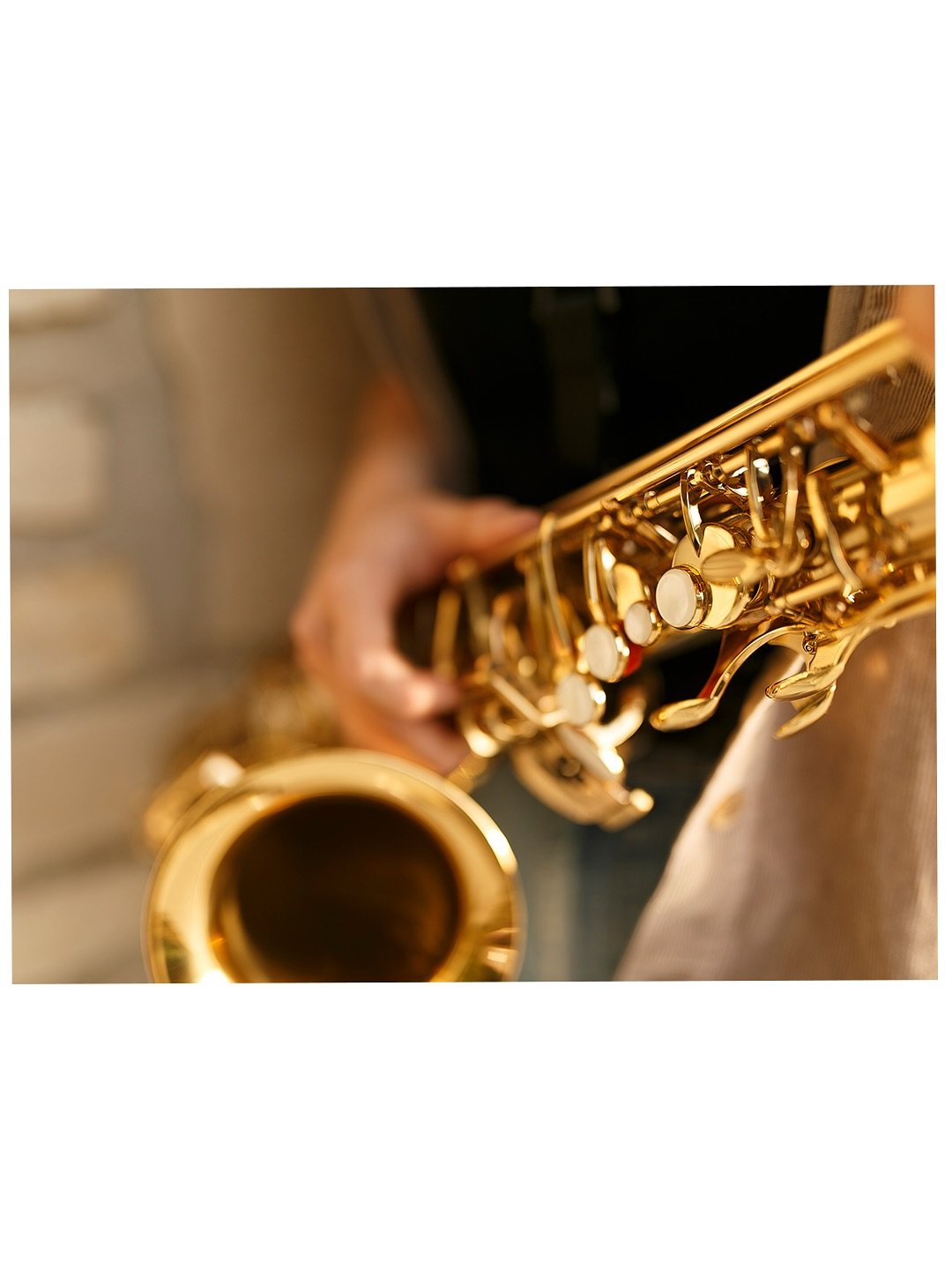 dogs and saxophones🎷 , can&rsquo;t ask for a better senior session!

congrats to all the seniors I&rsquo;ve been fortunate to capture this season !! #classof2026