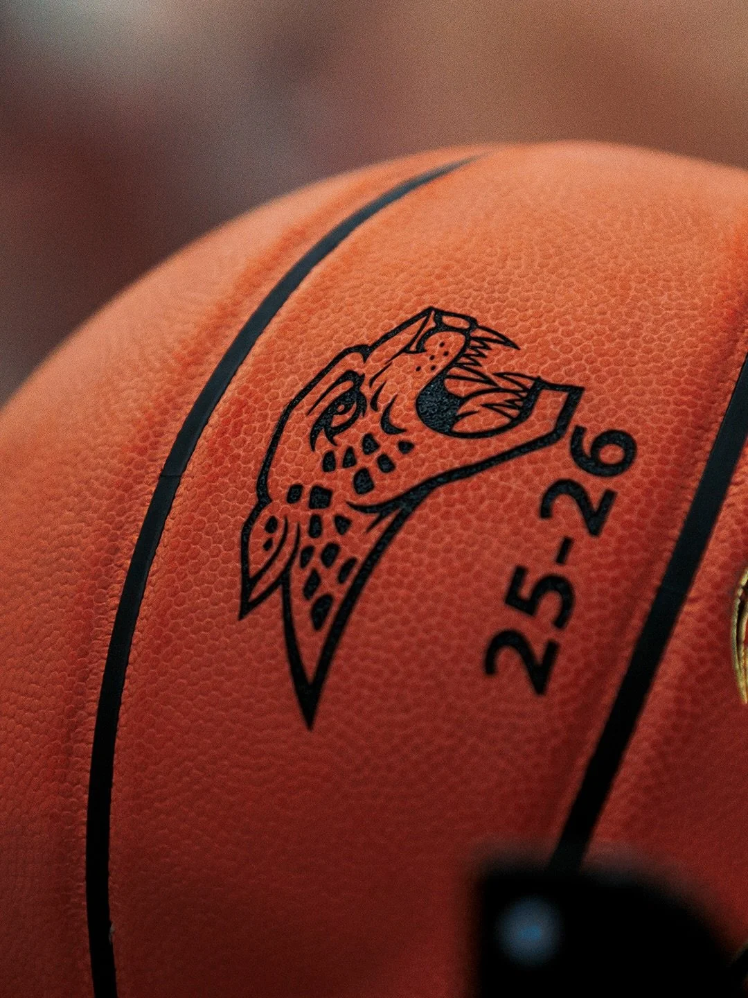 Jaguar Basketball 25-26 🏀 || 📸 @downerphoto 

Always a fun time capturing these 2 teams!! Congrats on a great season to both @achswbb @achsboyshoops