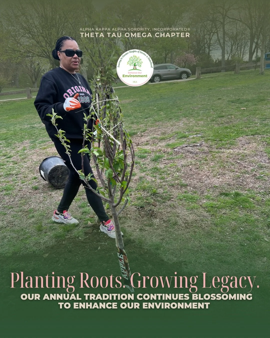Planting Roots. Growing Legacy 🩷🌳 The sisters of Theta Tau Omega Chapter of Alpha Kappa Alpha Sorority, Incorporated showed up at Beardsley Park in Bridgeport, CT &mdash; carrying on our cherished annual tradition of giving back to the earth and ou