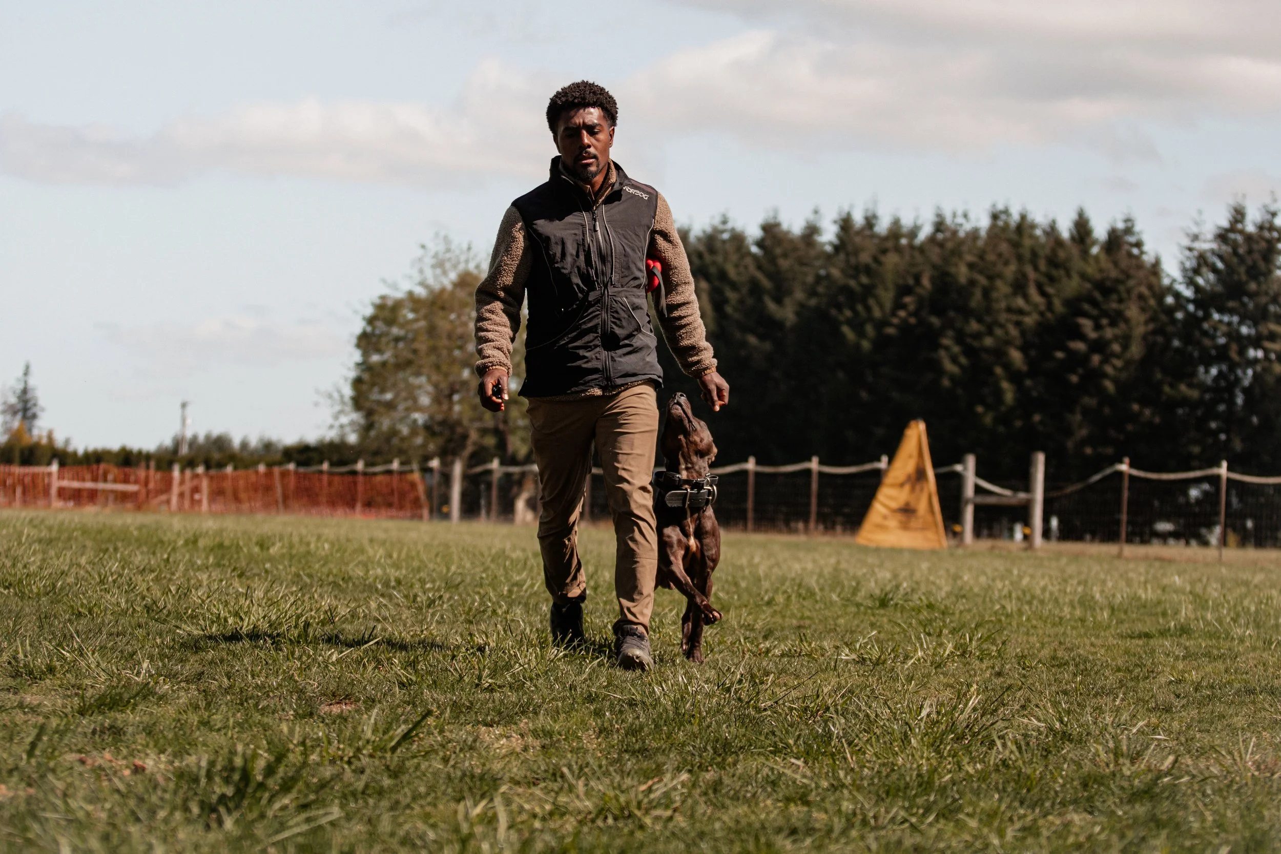 A man walking a brown dog on a grassy field.