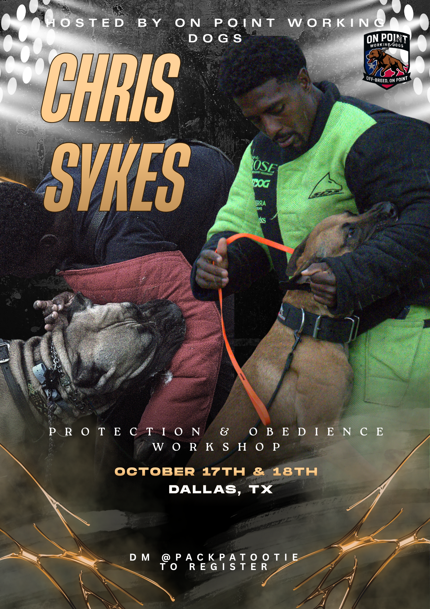 Dallas Tx Sport Workshop