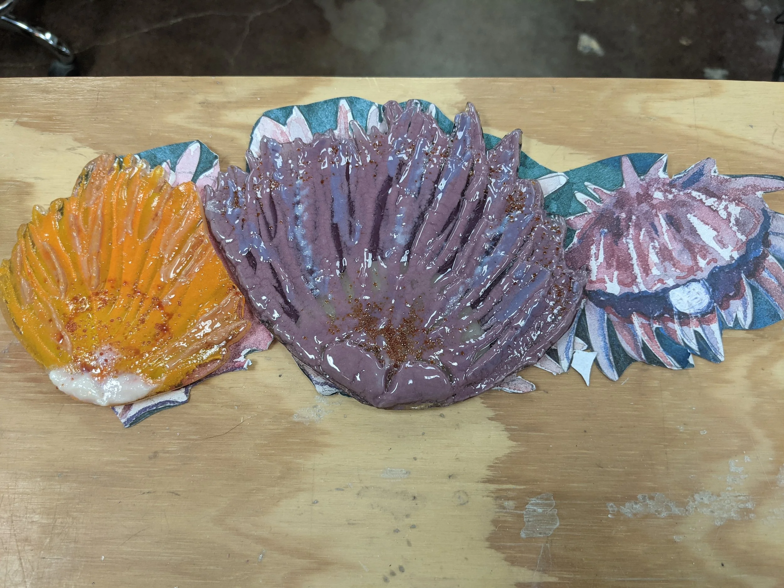 Two closed spiny oysters fit together perfectly.