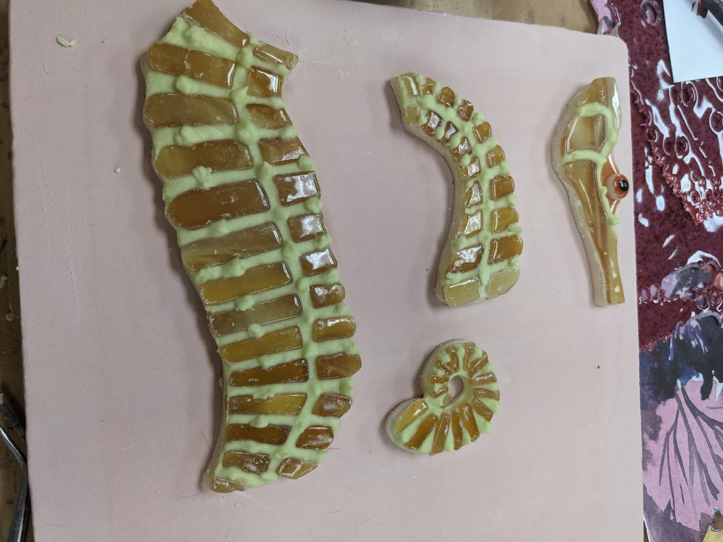 Sheldon, the sea horse, on his last firing.