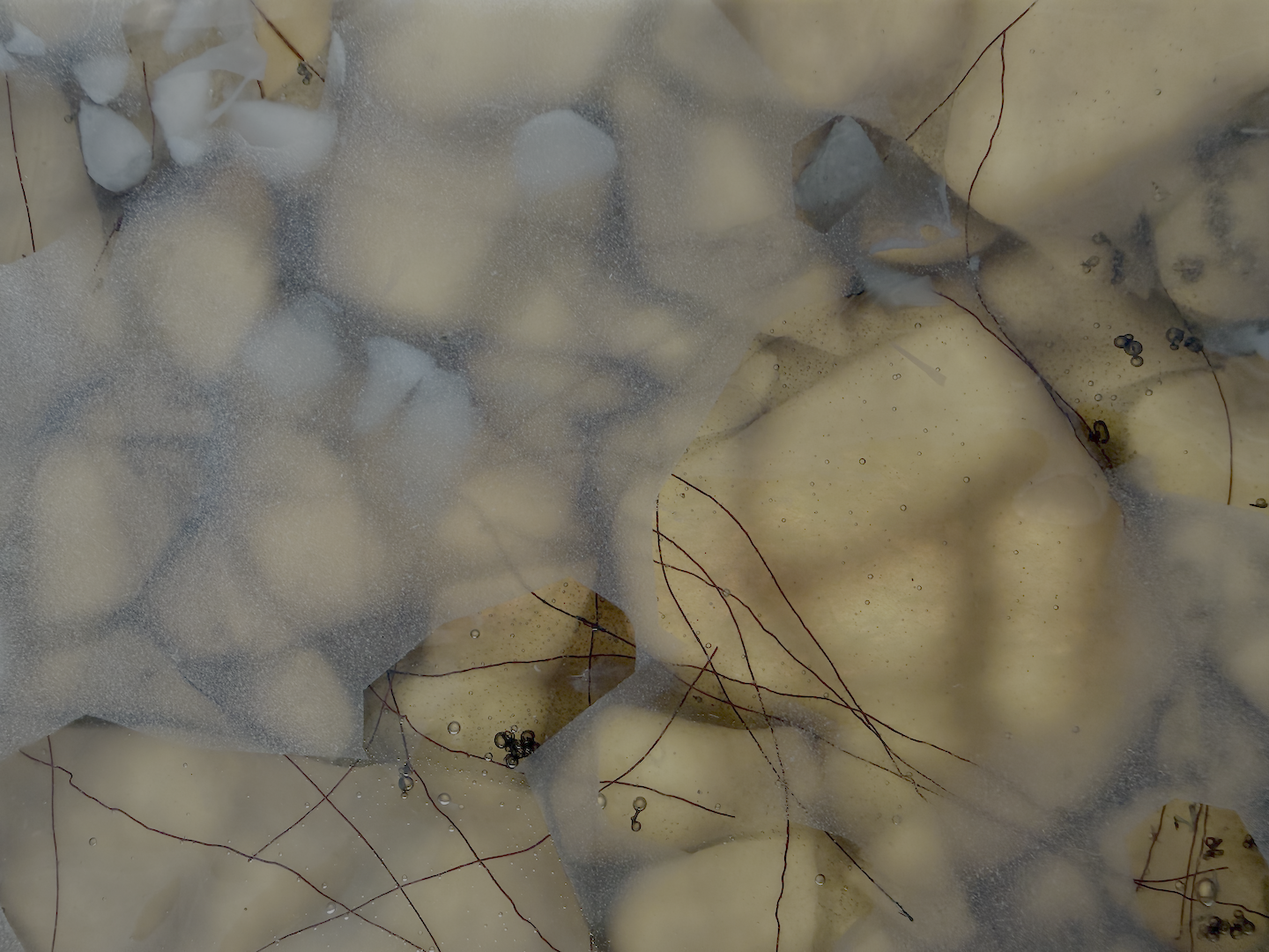IMG_0275.png