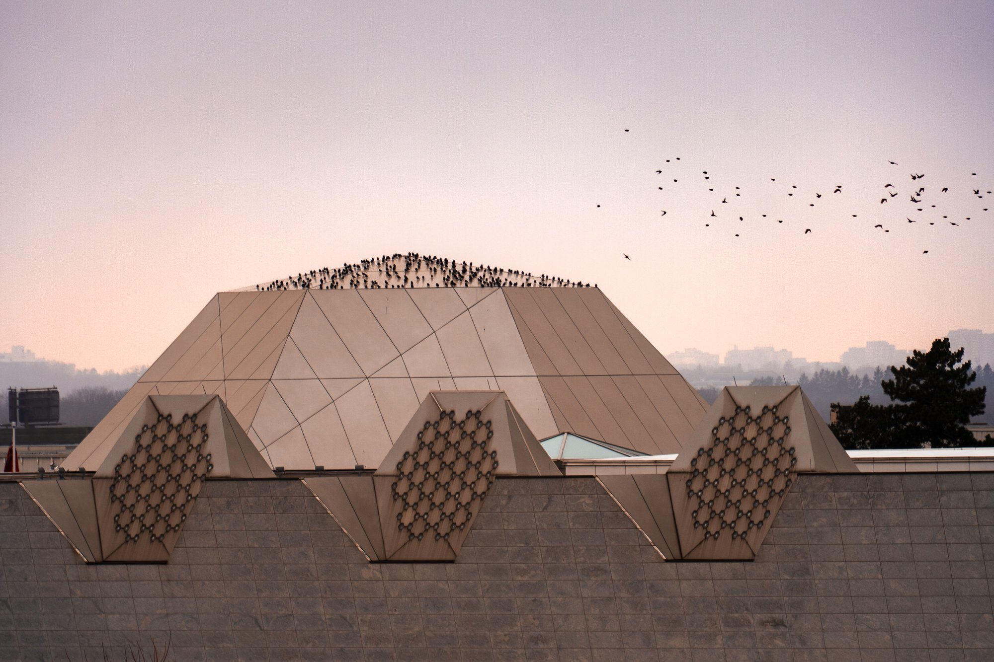 Architectural building with geometric shapes, covered in birds, at sunset with flock of birds flying in the sky.