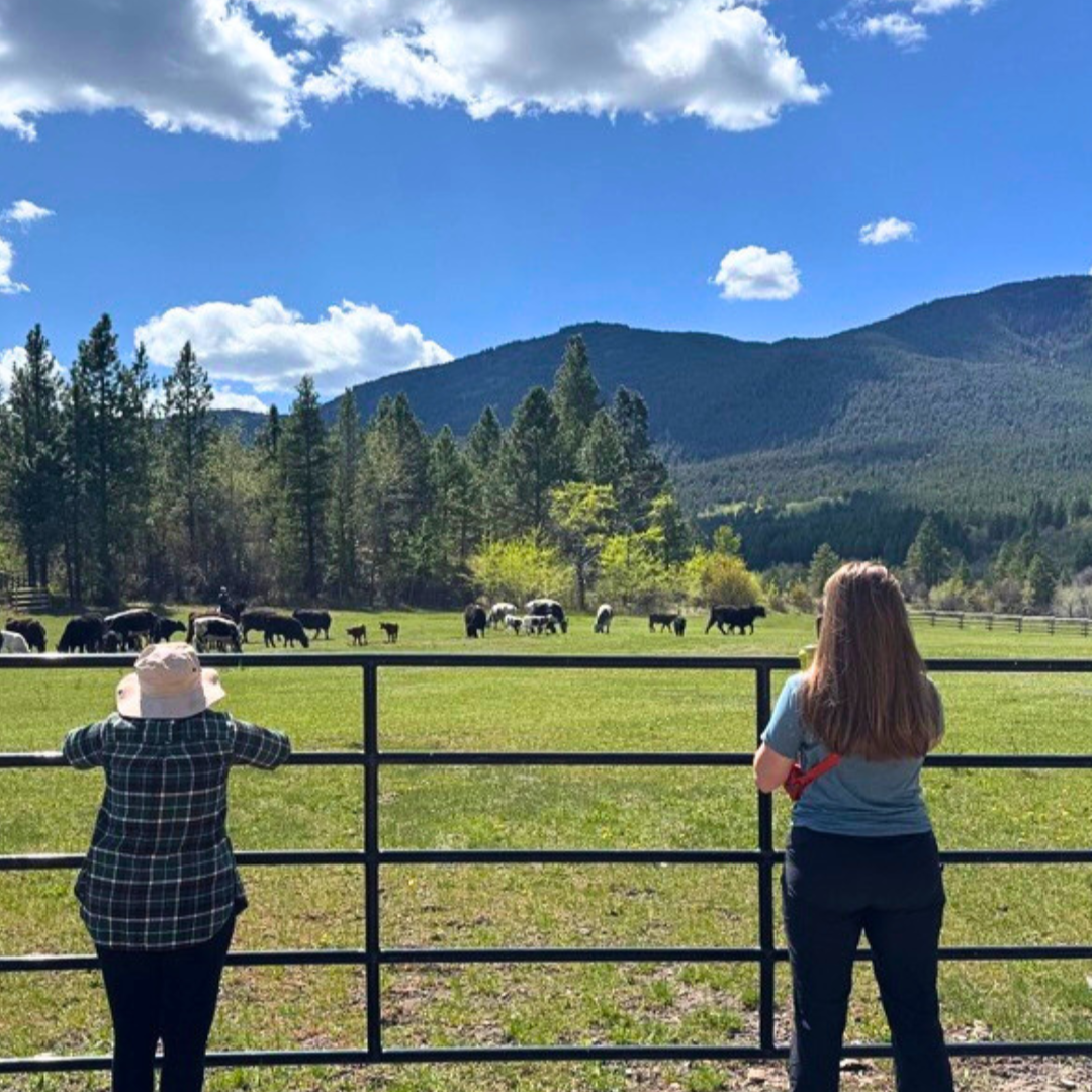 Calm, Connection, and Cows: A Trip to Cold Water Ranch