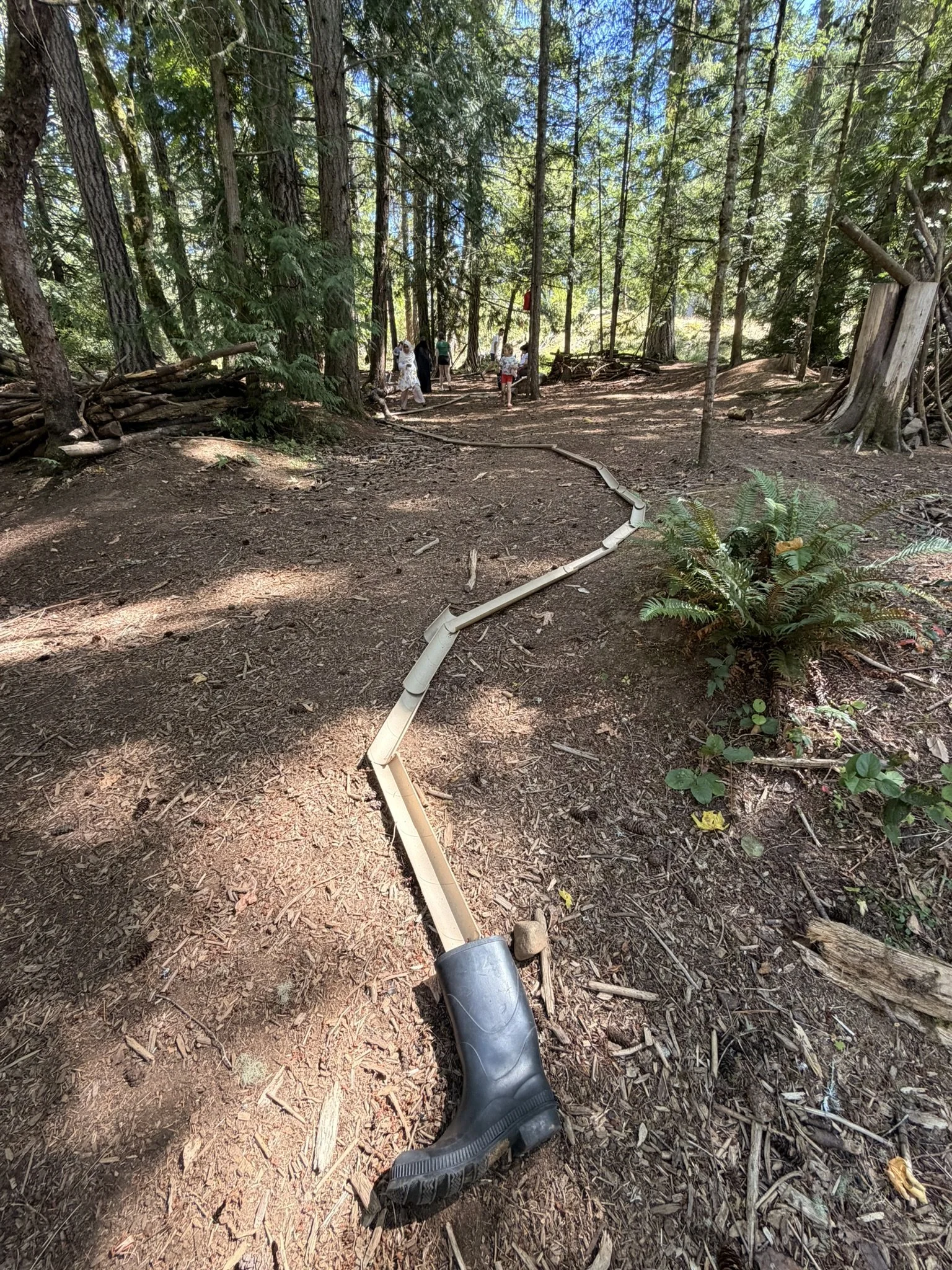Starlight 2026 Forest Ball Track.JPEG