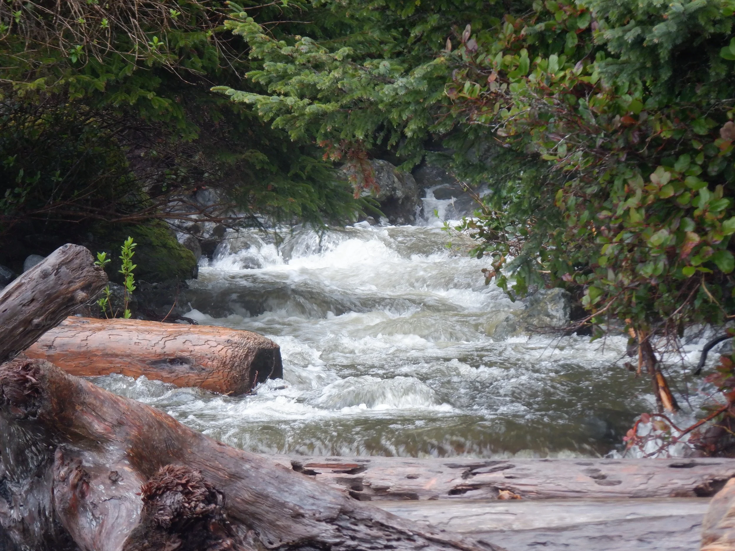DSCF1392.JPG