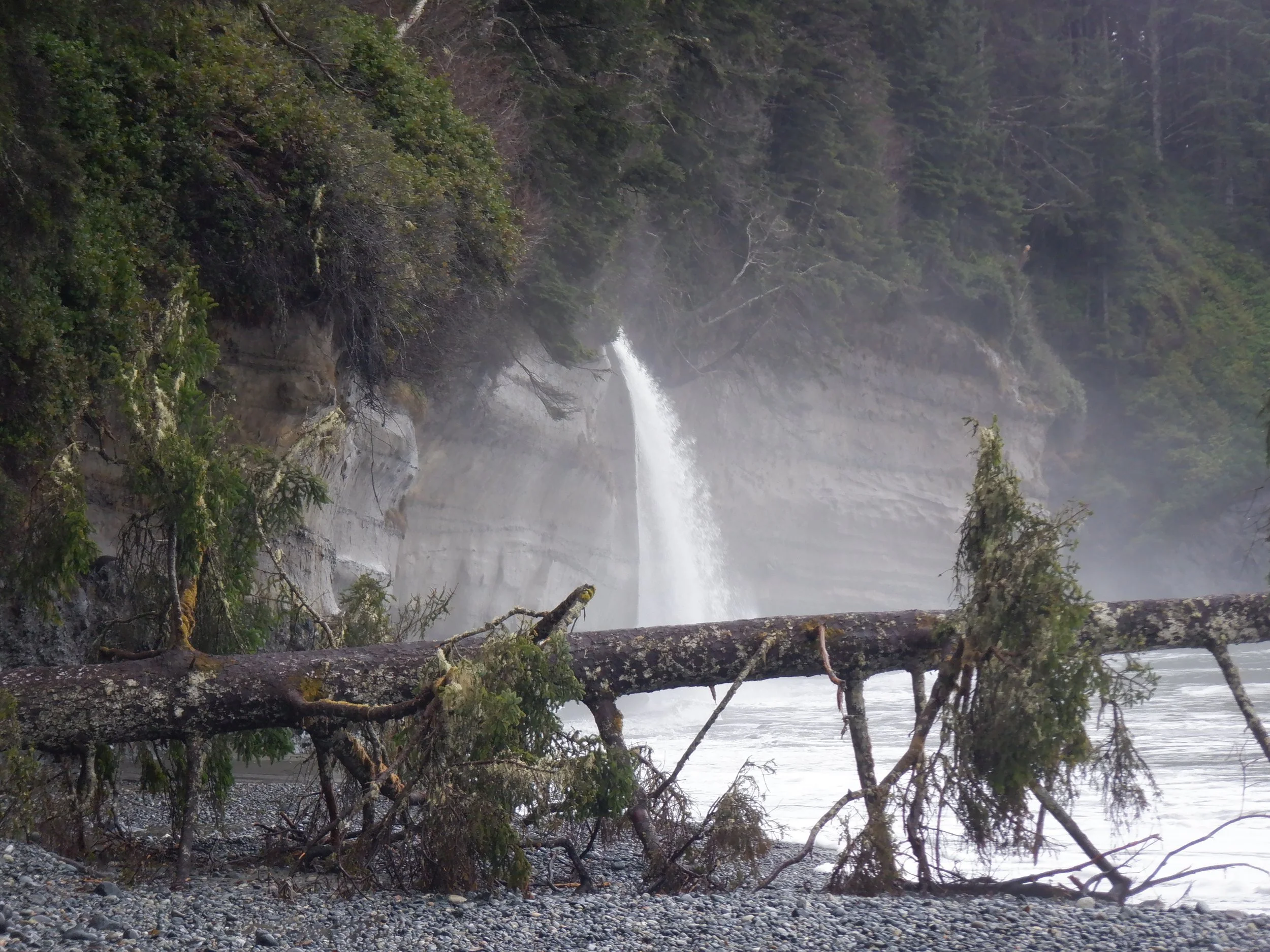 DSCF1393.JPG
