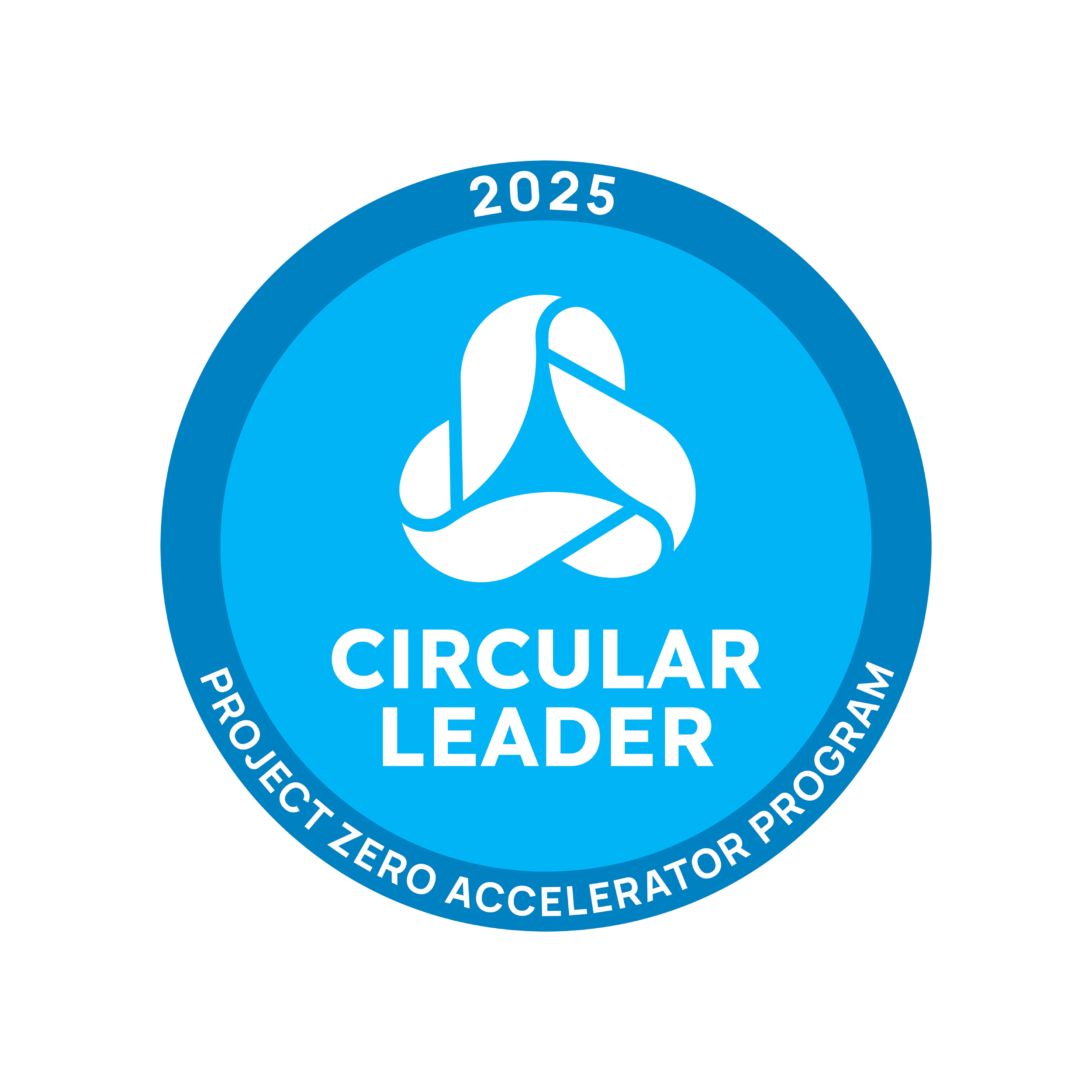 Project Zero Circular Leader.png