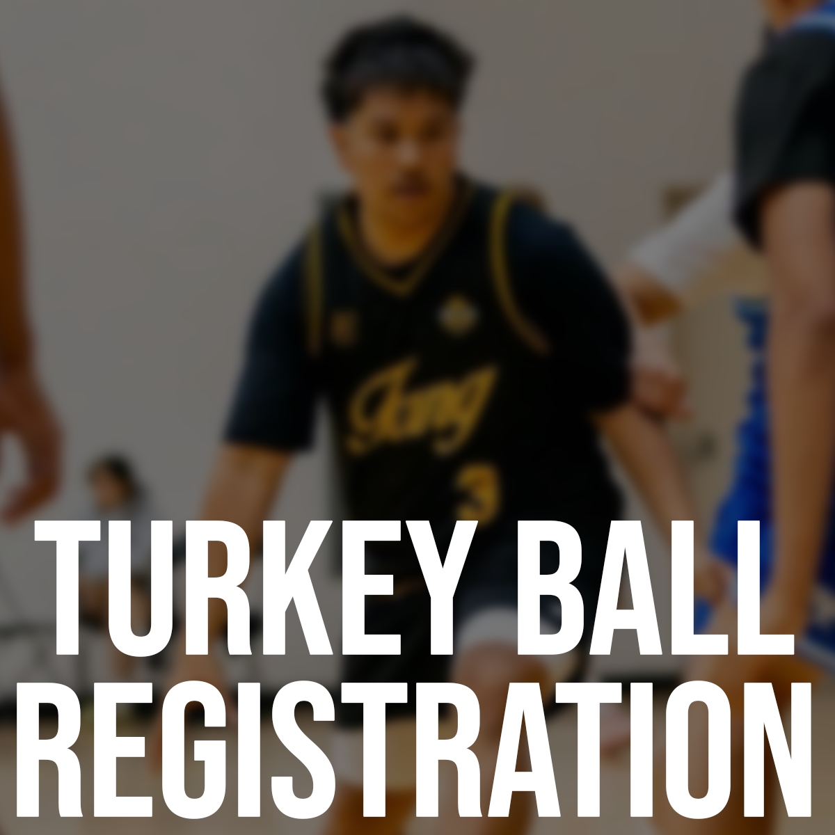 Turkey Ball Registration
