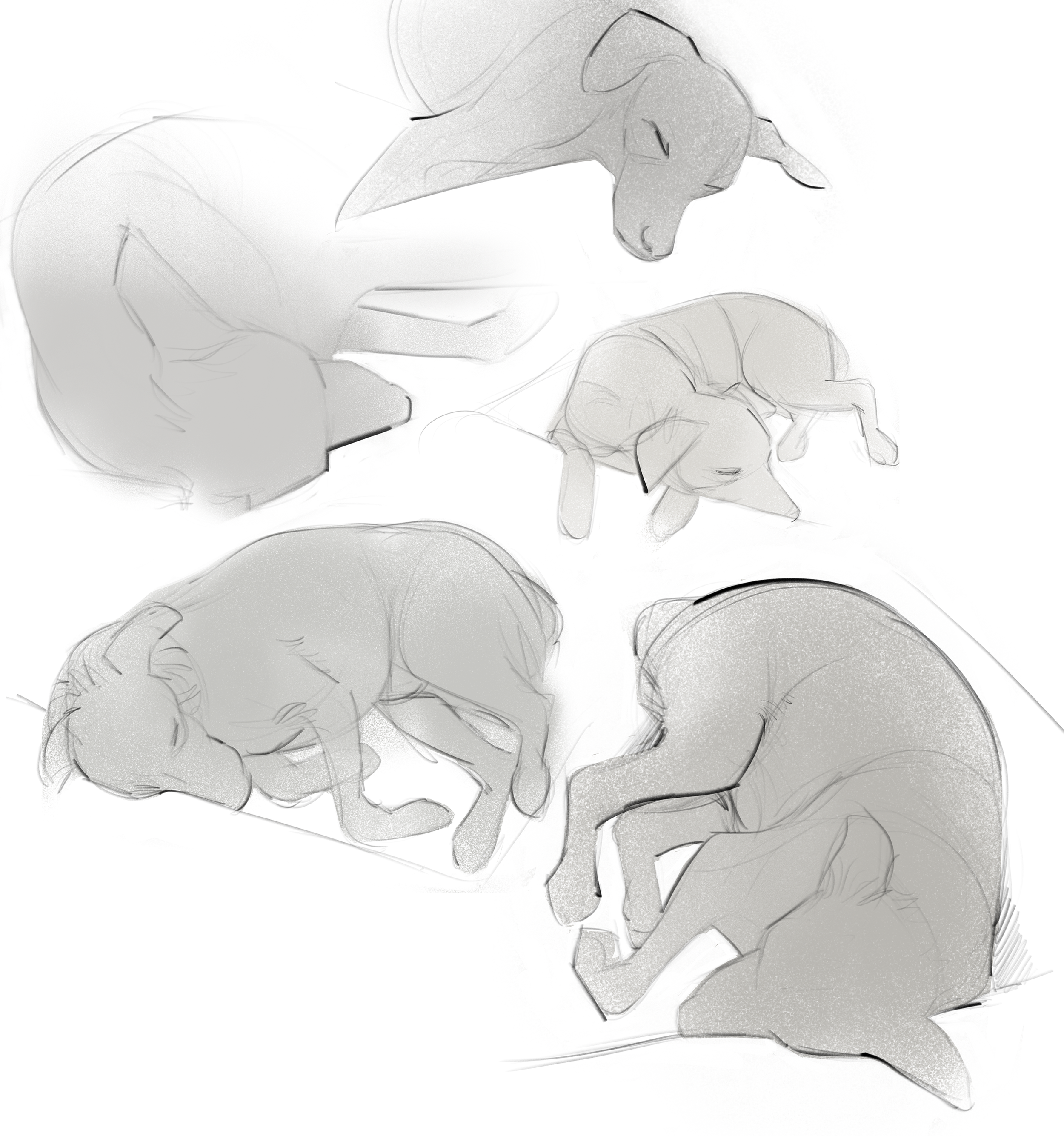 Untitled_Artwork (1).PNG