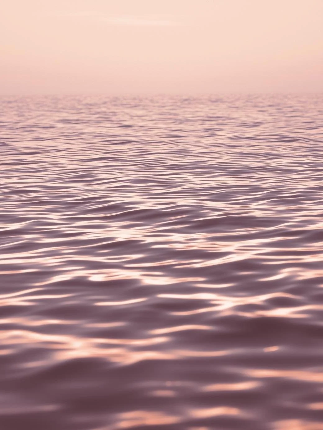Calm ocean horizon in soft blush and cream tones under natural light, symbolizing grounded clarity, emotional regulation, and nervous-system-safe business growth.