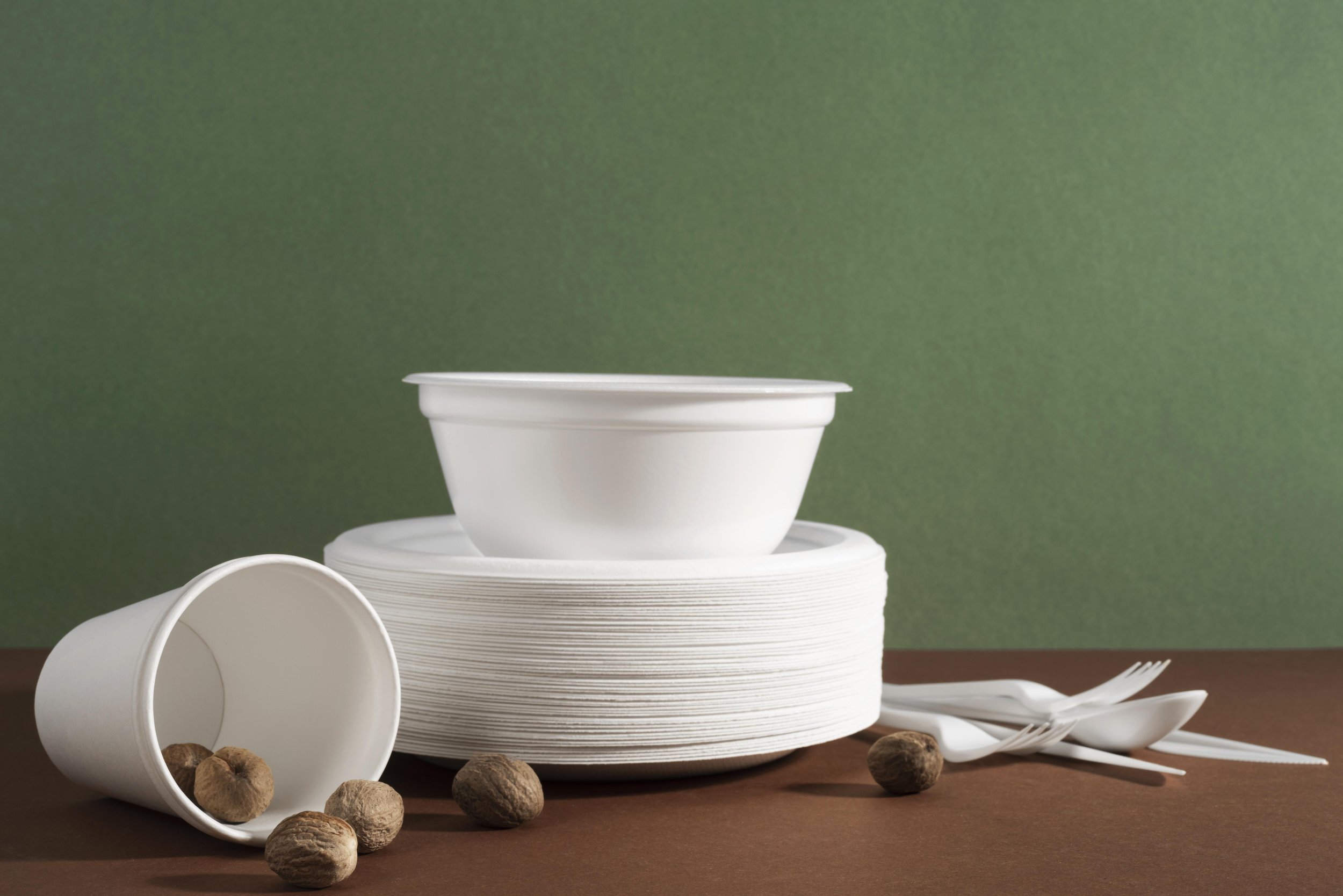 Bagasse tableware.jpg