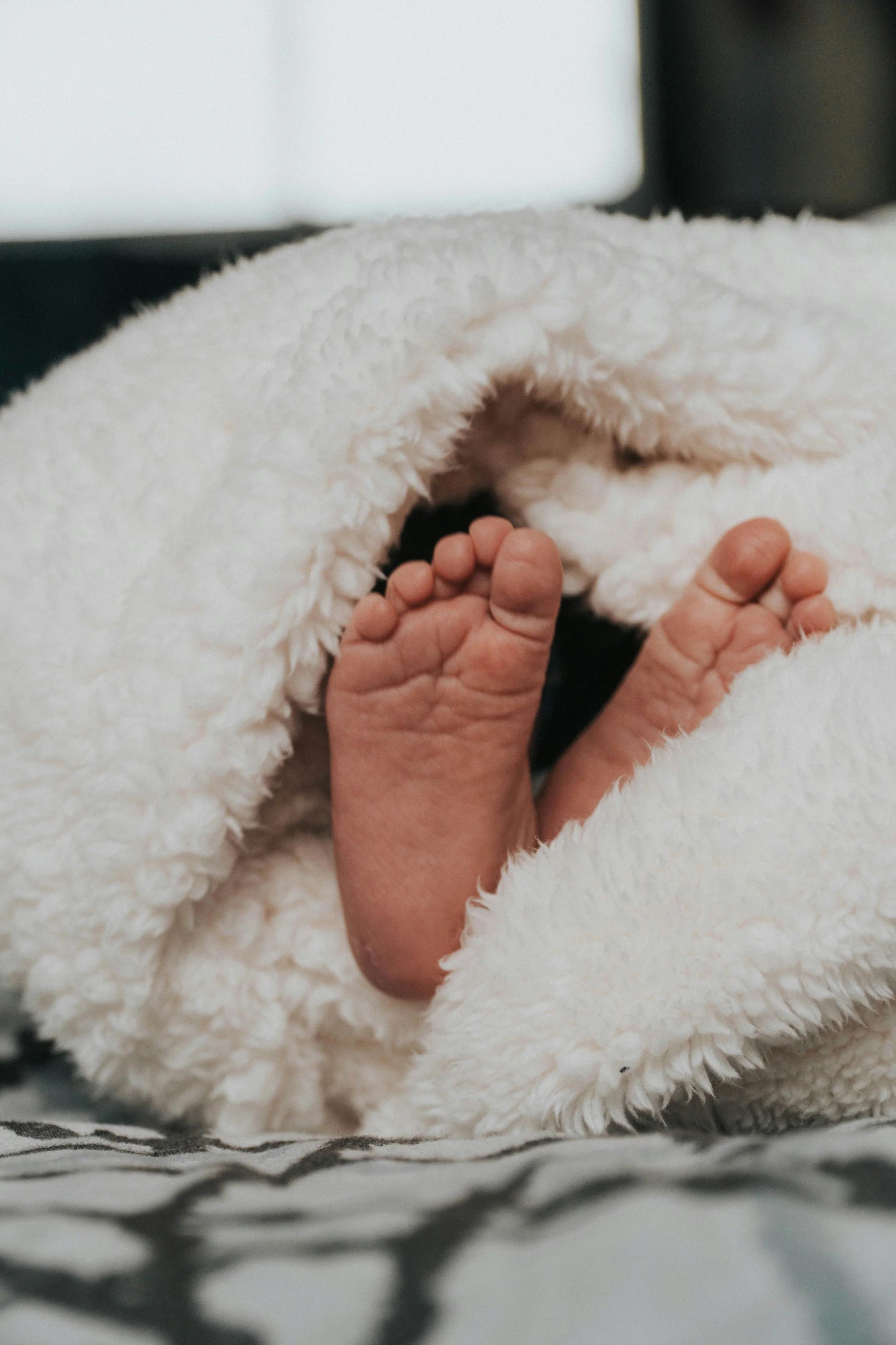 Baby feet peeking out from a fluffy white blanket in Philadelphia, PA.