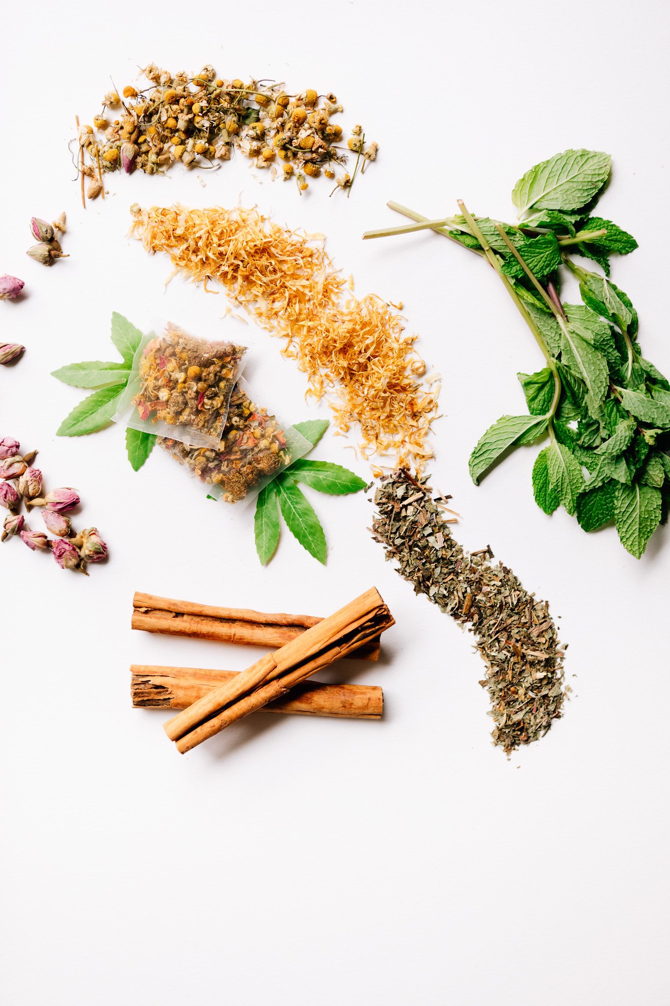 Elevated_tea_CBD_sugar_taylor_branding_styling_Erika_Layne_Photography-0294-X4.jpg