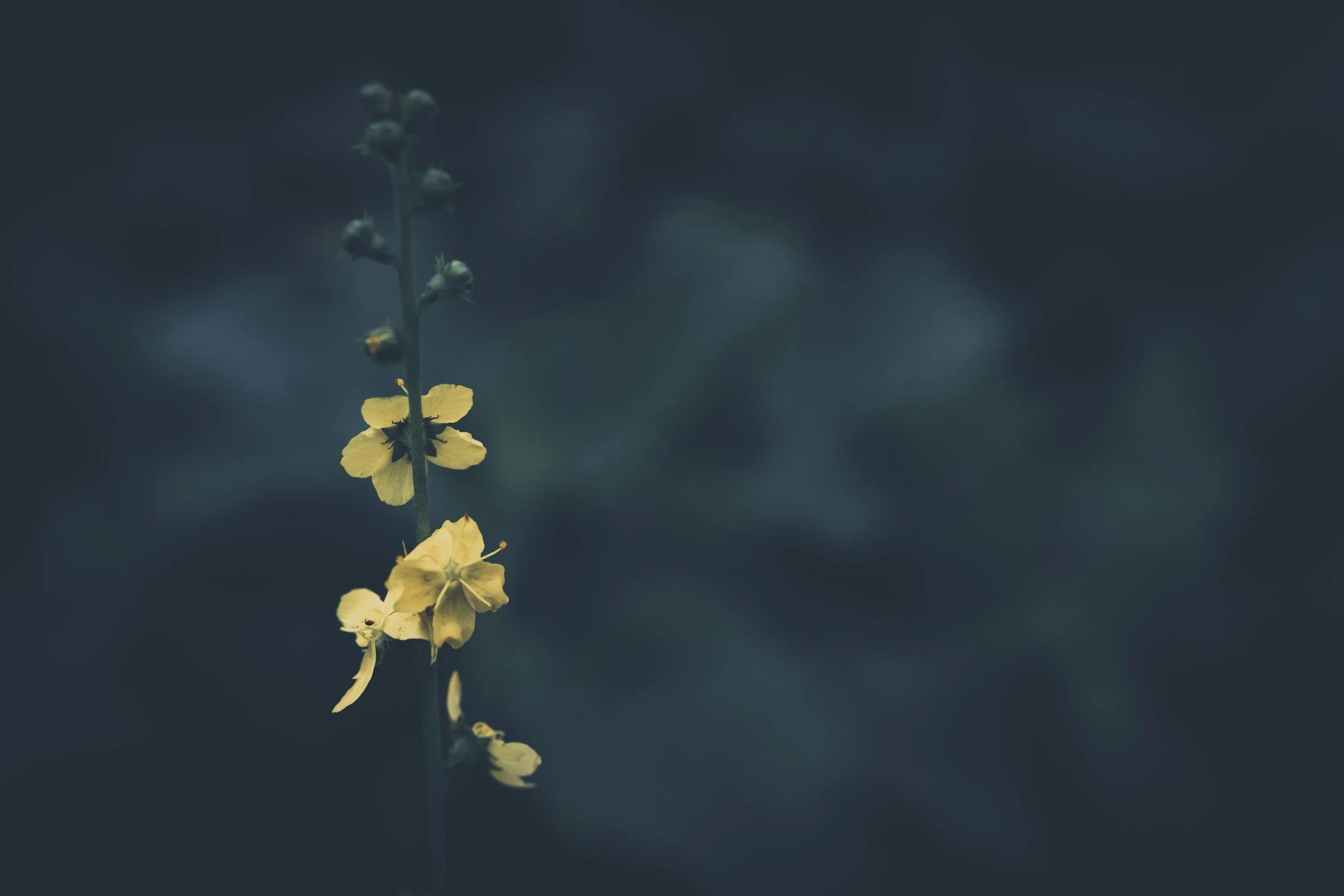 Designing Your Life