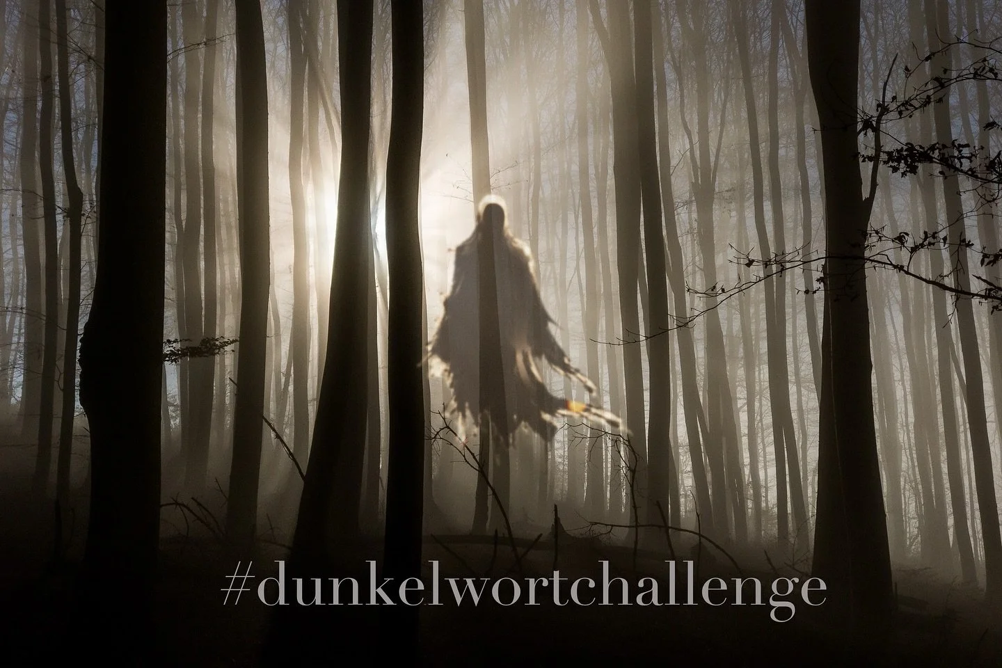 Ich wurde von @richard_haefner_autor zur #dunkelwortchallenge von @amira.m_riley nominiert. Vielen Dank daf&uuml;r, gerne mache ich mit. 
Ah, doch was hat in meinem Werk &laquo;Mea &ndash; Das Lied der Vergessenen&raquo; die Bezeichnung #dunkelwort 