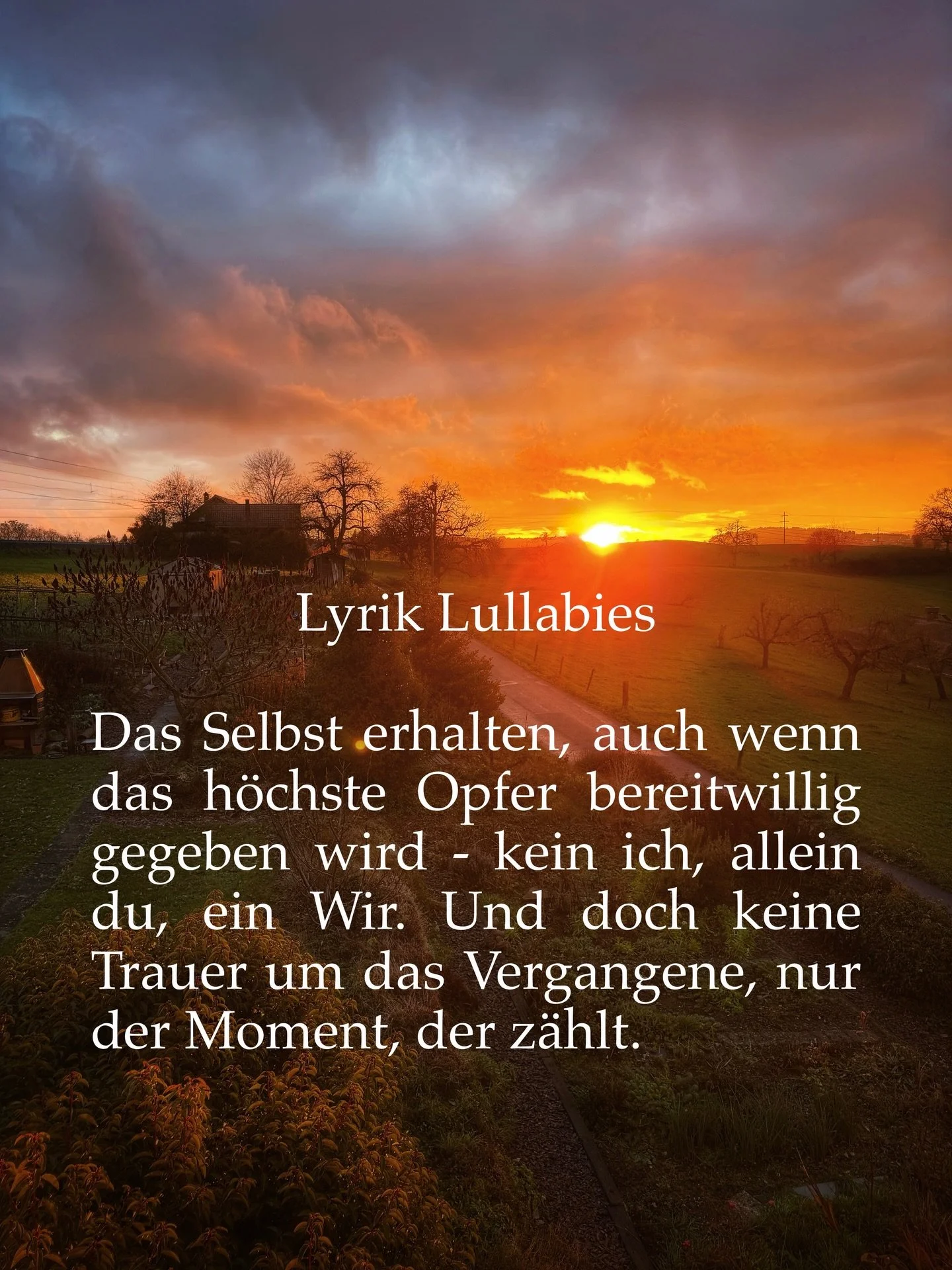 Lyrik Lullabies - Lyrik aus dem Wochenbett 

Mit Neugeborenen kommt man ja bekanntlich zu nichts anderem mehr, als sich um die kleinen Wunder zu k&uuml;mmern. Sch&ouml;n, aber ein 200% Job, zumindest f&uuml;r frischgebackene M&uuml;tter ohne Erfahrun