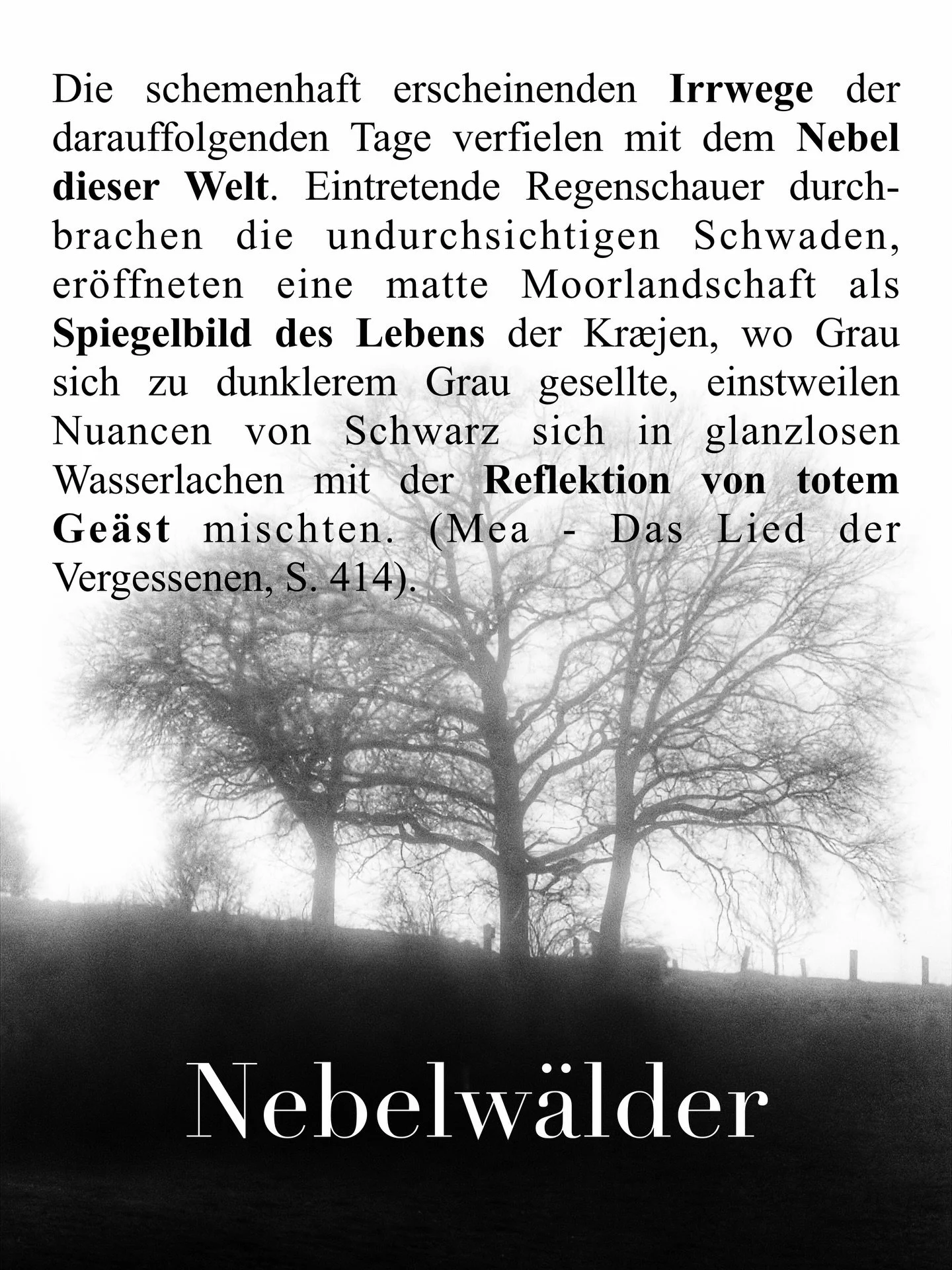 Nebel Fetisch. 😜🤍 Die Tage gibt&rsquo;s viel Nebel bei uns, jedoch zaubert dieser magische Nuancen in die Welt hinein. 
Foto von gestern von meinem Garten aus, Text &bdquo;Mea - Das Lied der Vergessenen&ldquo;. 
#fantasy #nebel #autorin #bookstagra