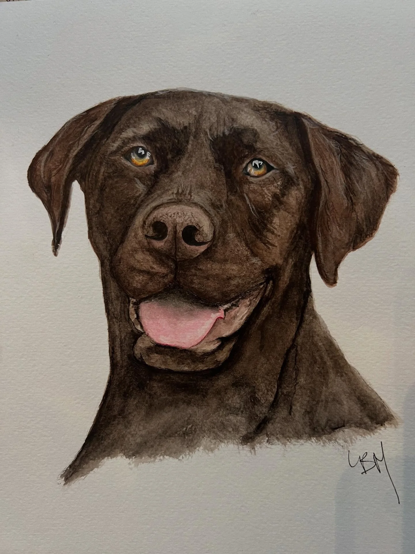 More dogs ❤️ message me if you&rsquo;re interested in a pet portrait anytime soon!