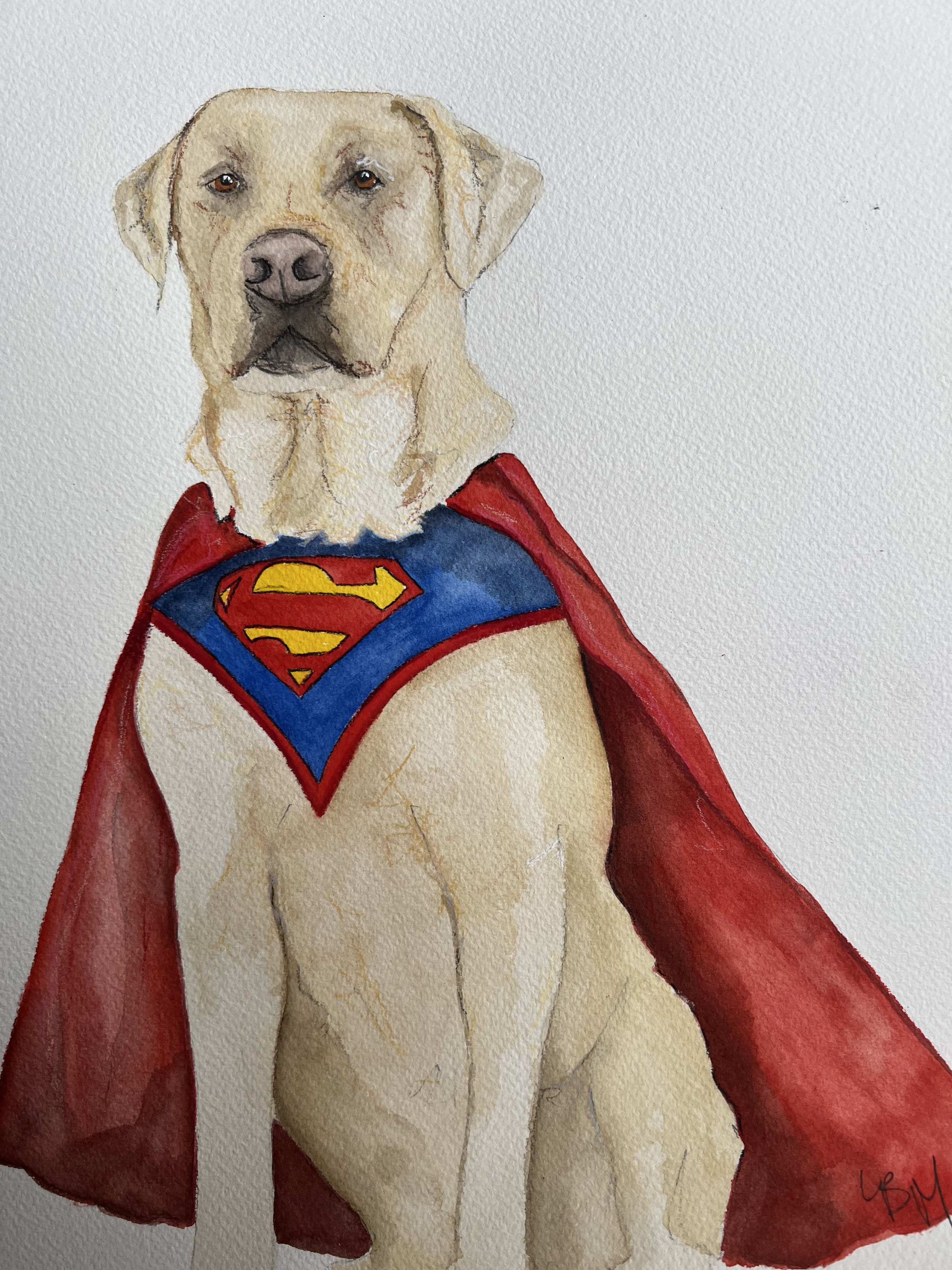 SuperDog