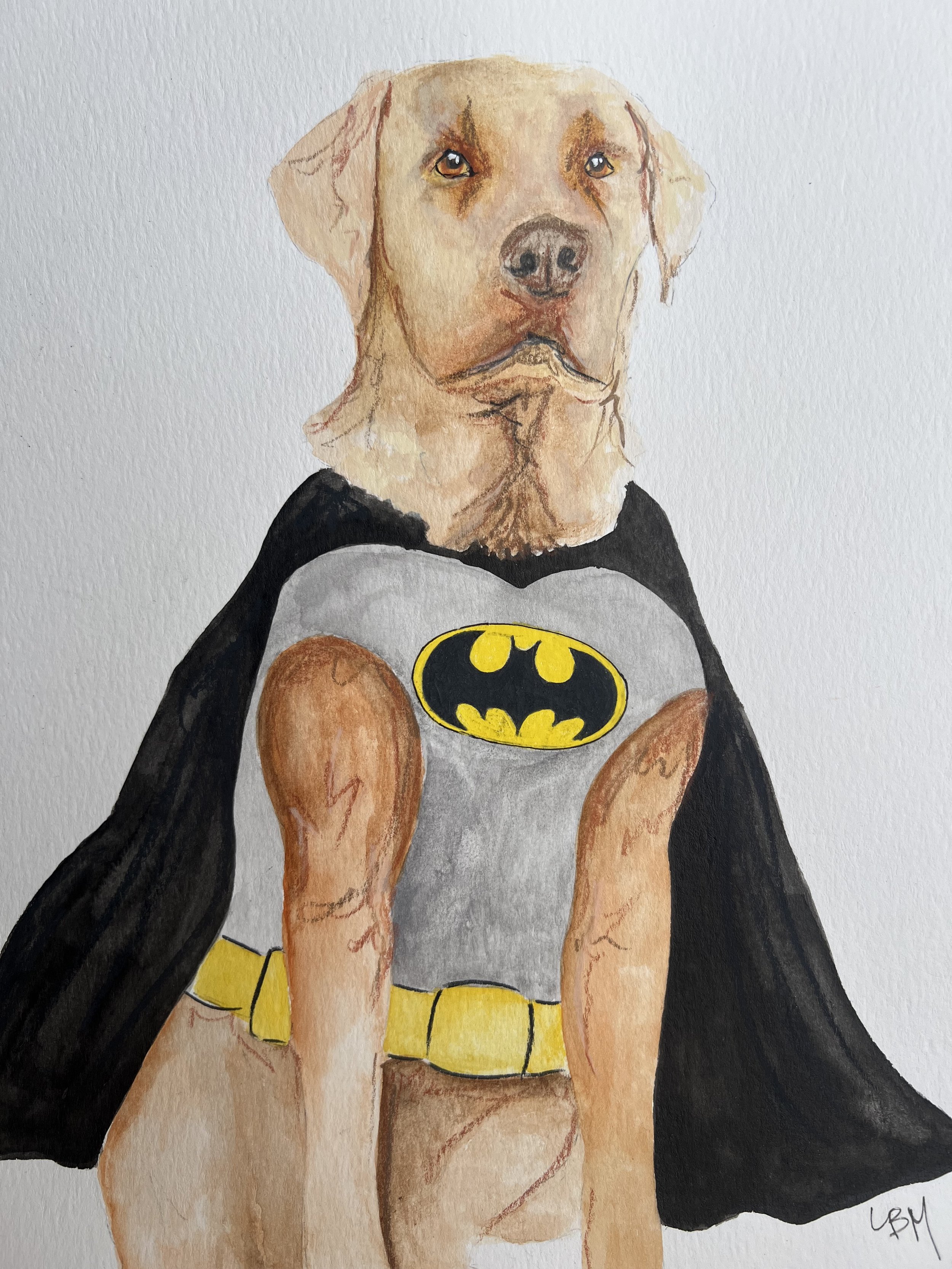 BatDog