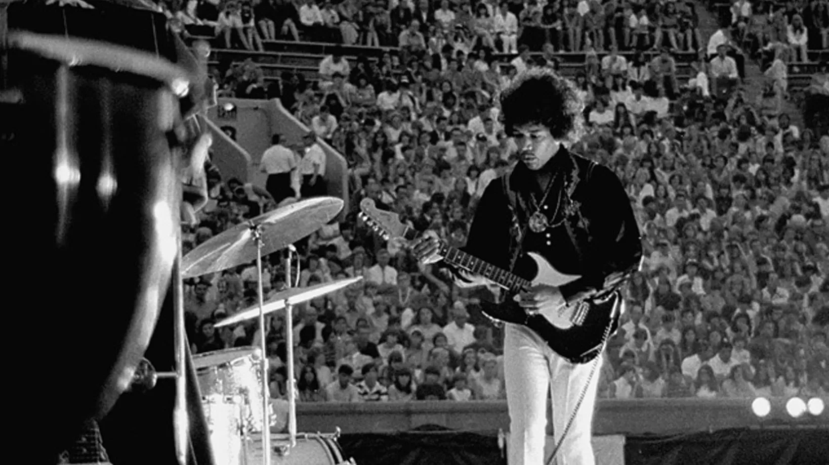 Forest Hills Project