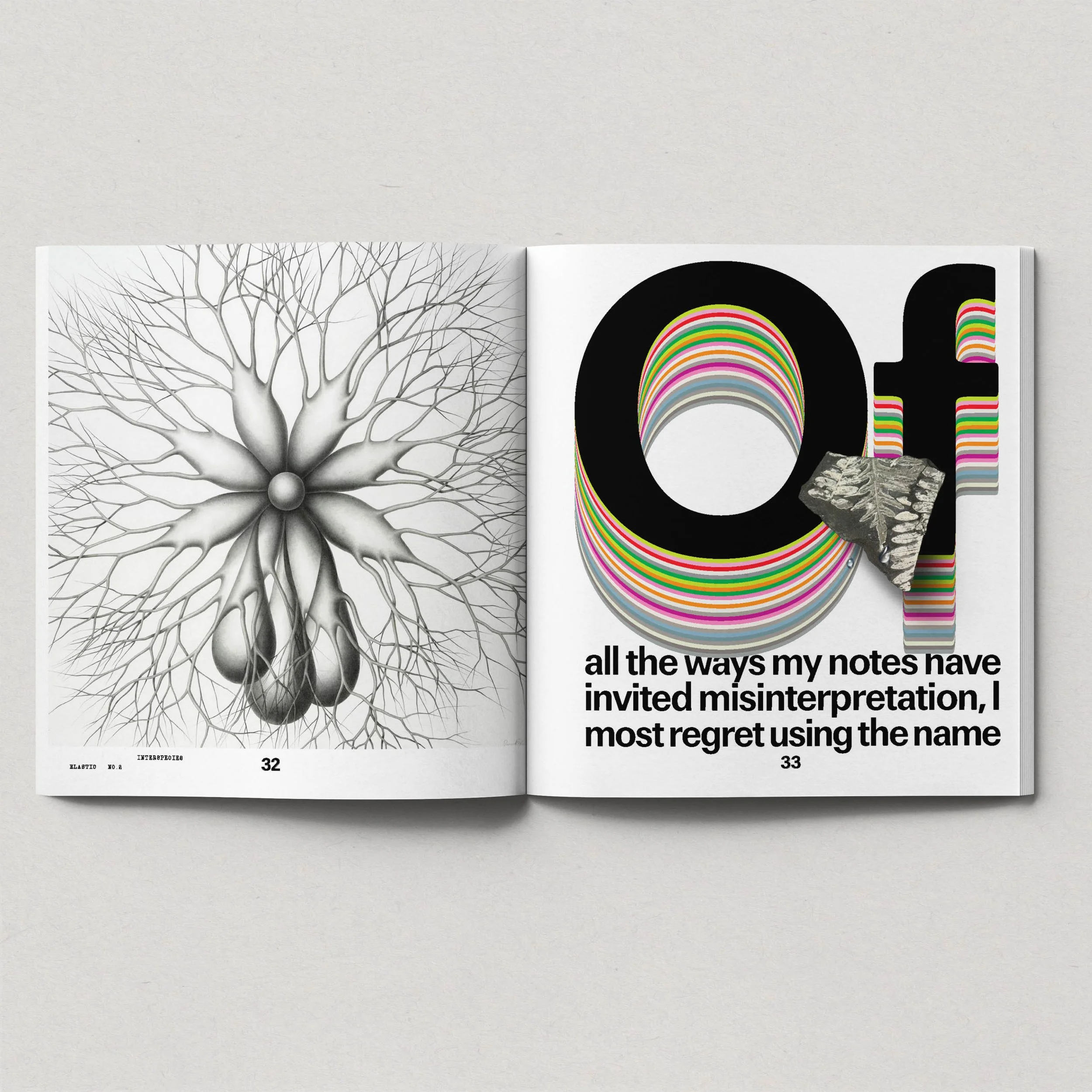 spread_3.jpg