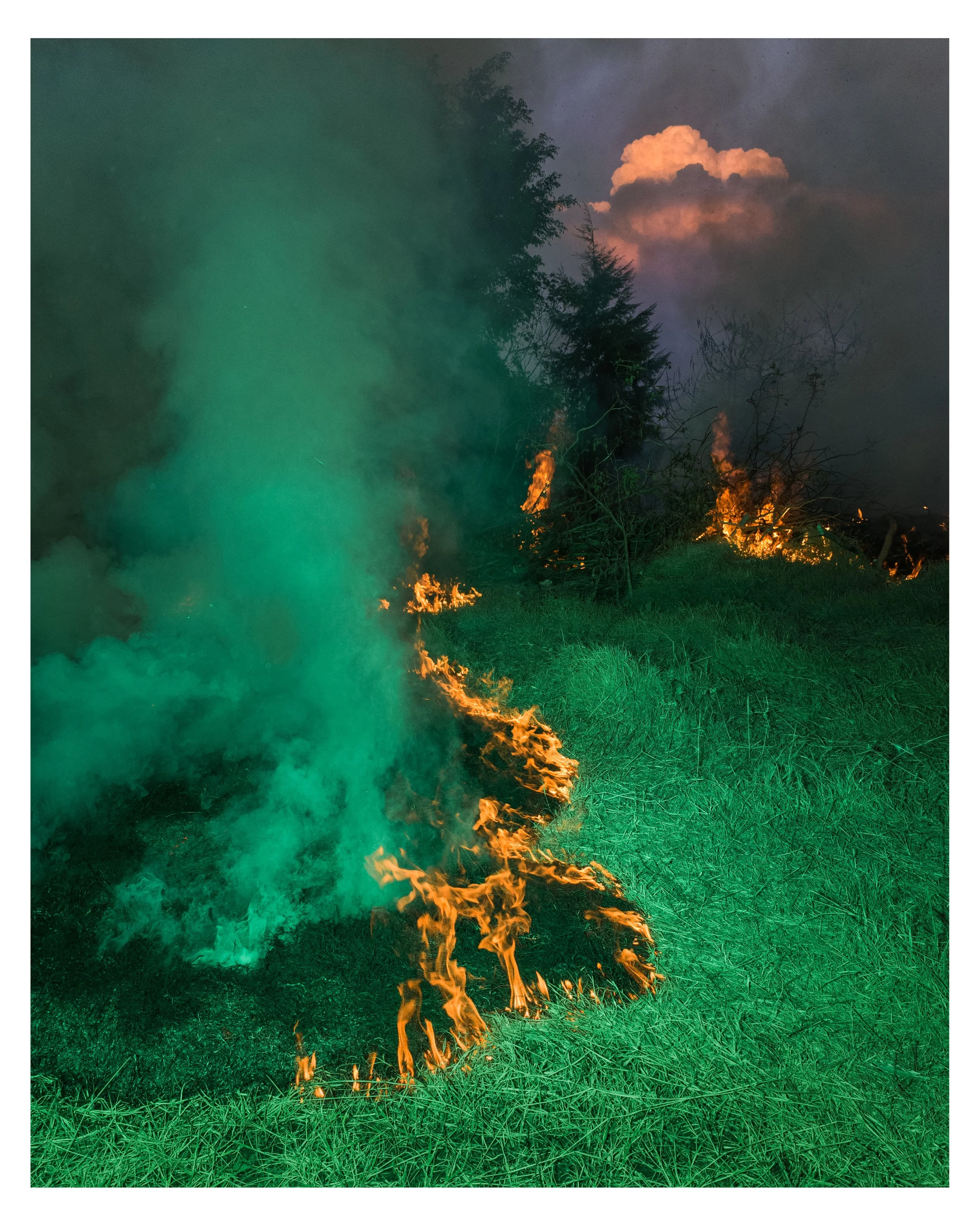 8X10_Bush fire, just after my harpoon attack , serie surreal mexico, 2017 copy.jpg