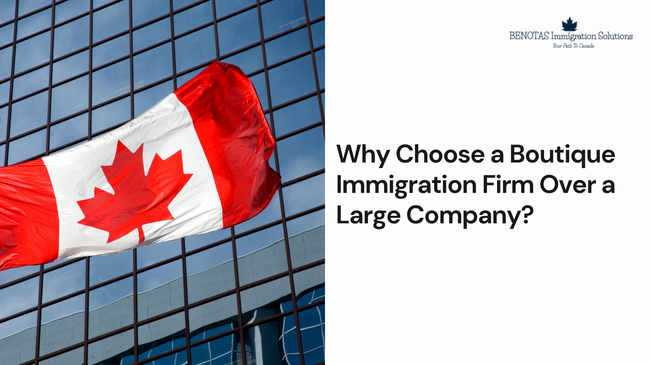 Why Choose a Boutique Immigration Firm Over a Large Company?