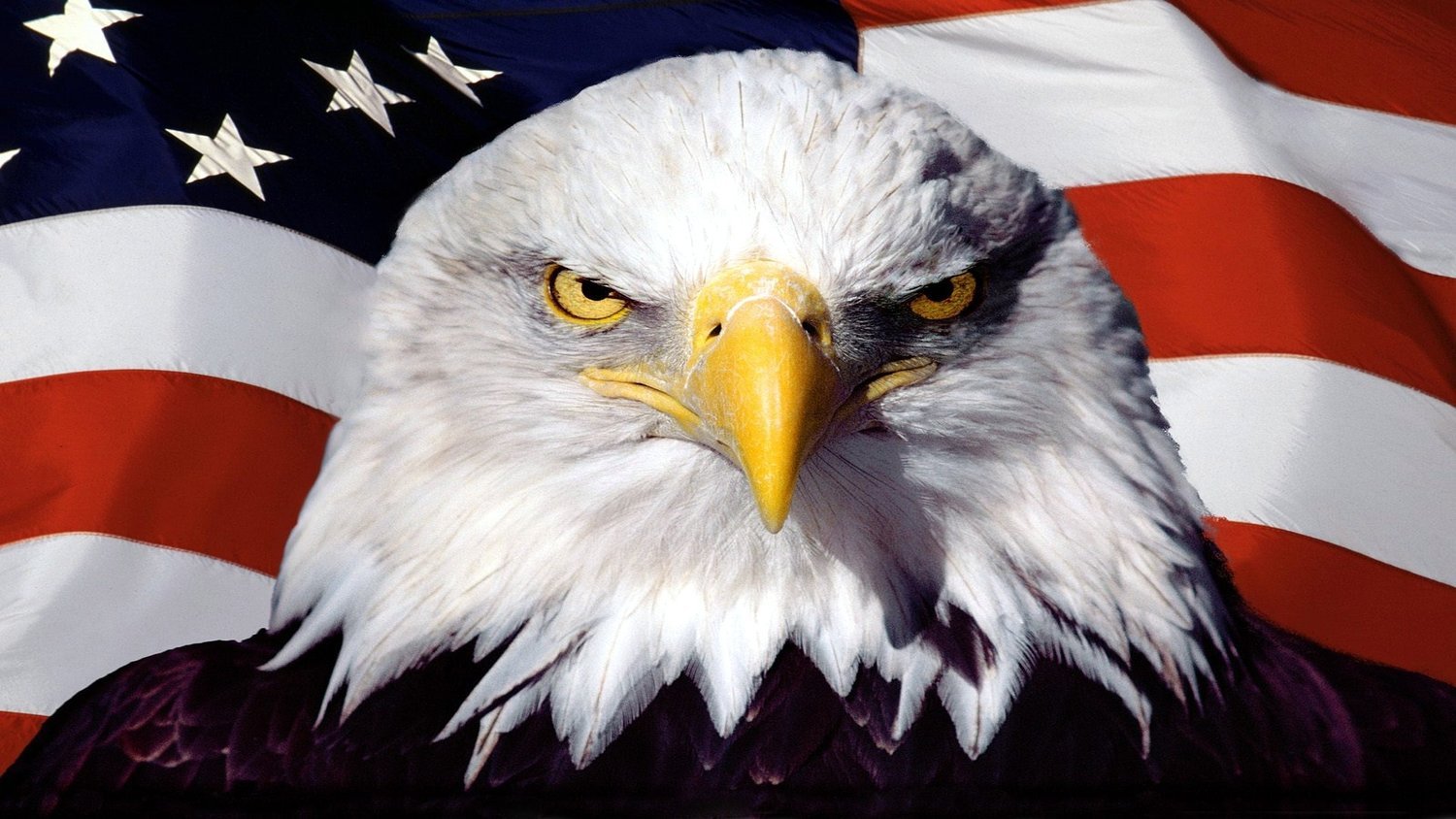 Independence Day