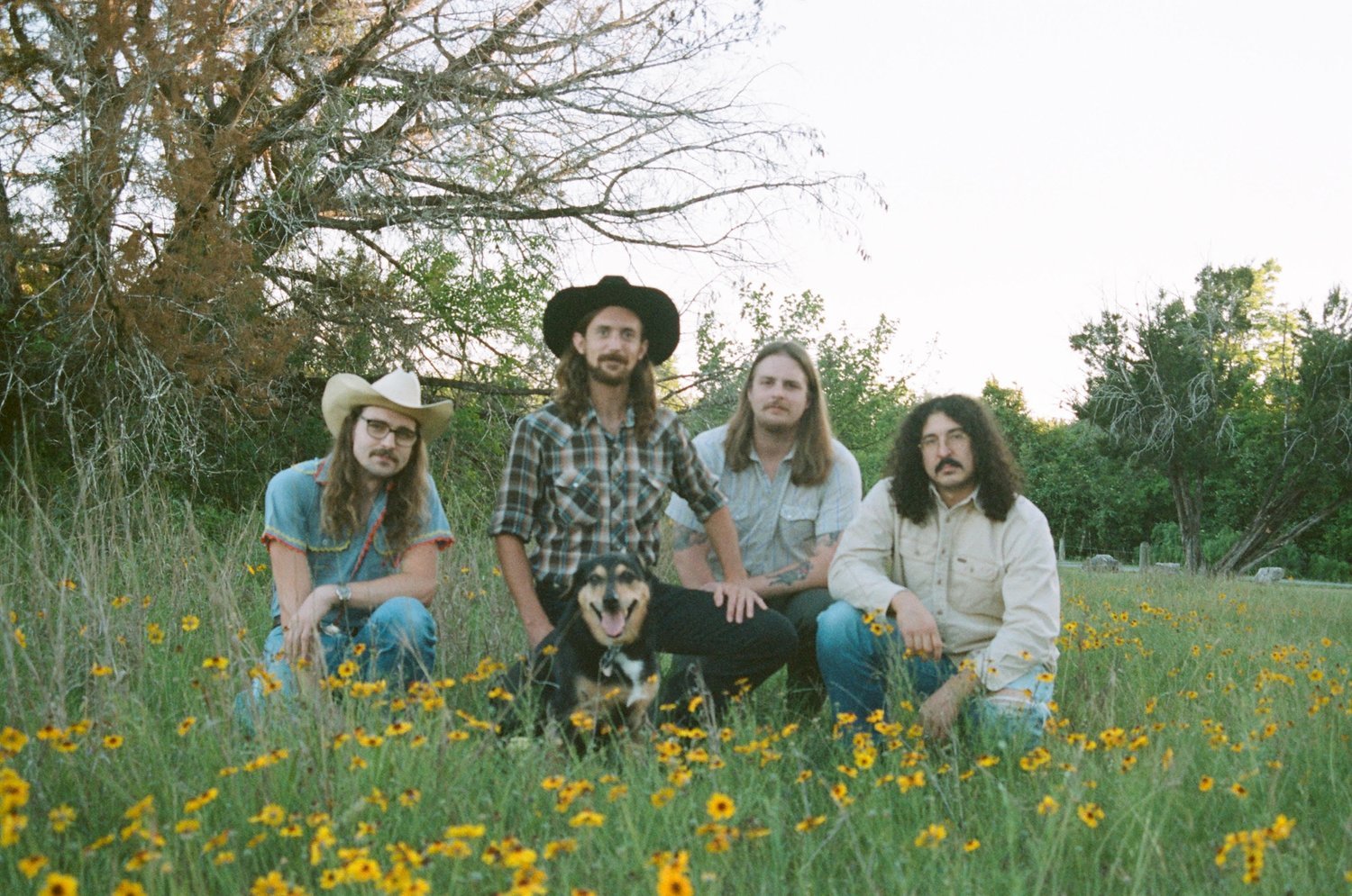 Jack Fister’s Wildlife