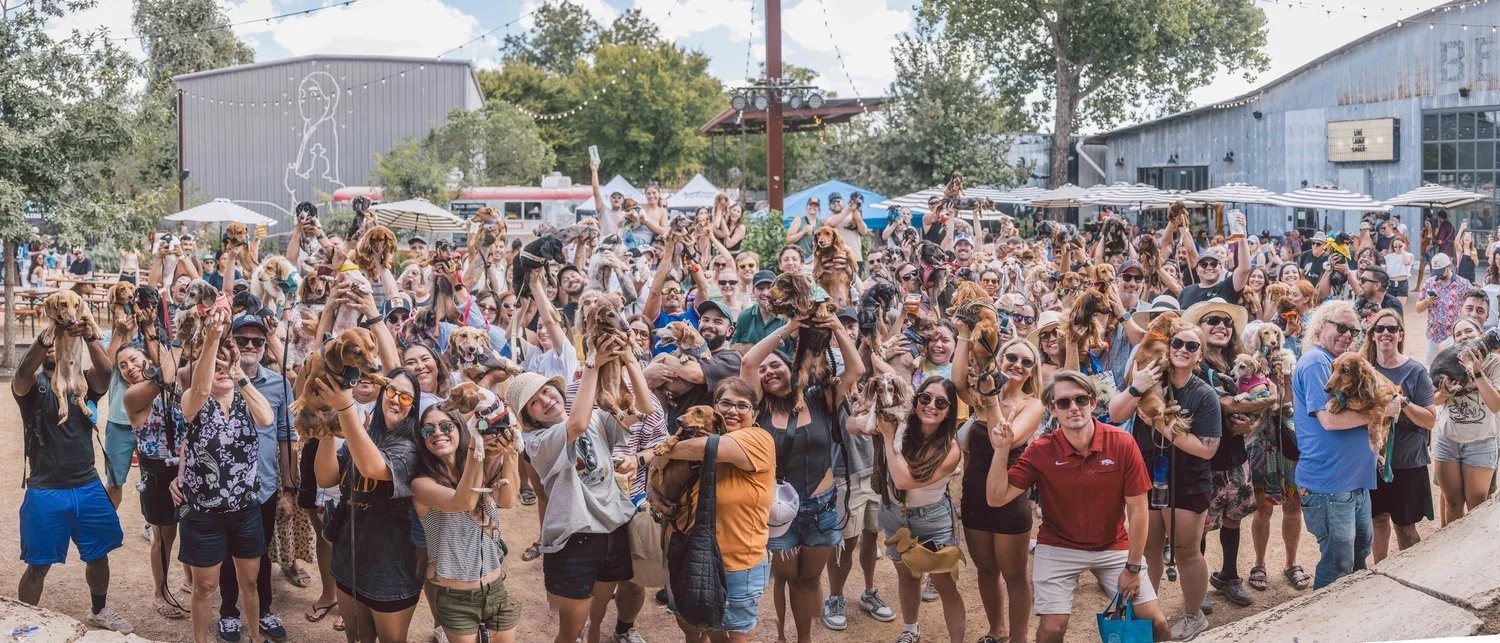10 Years of Zilkerbark!