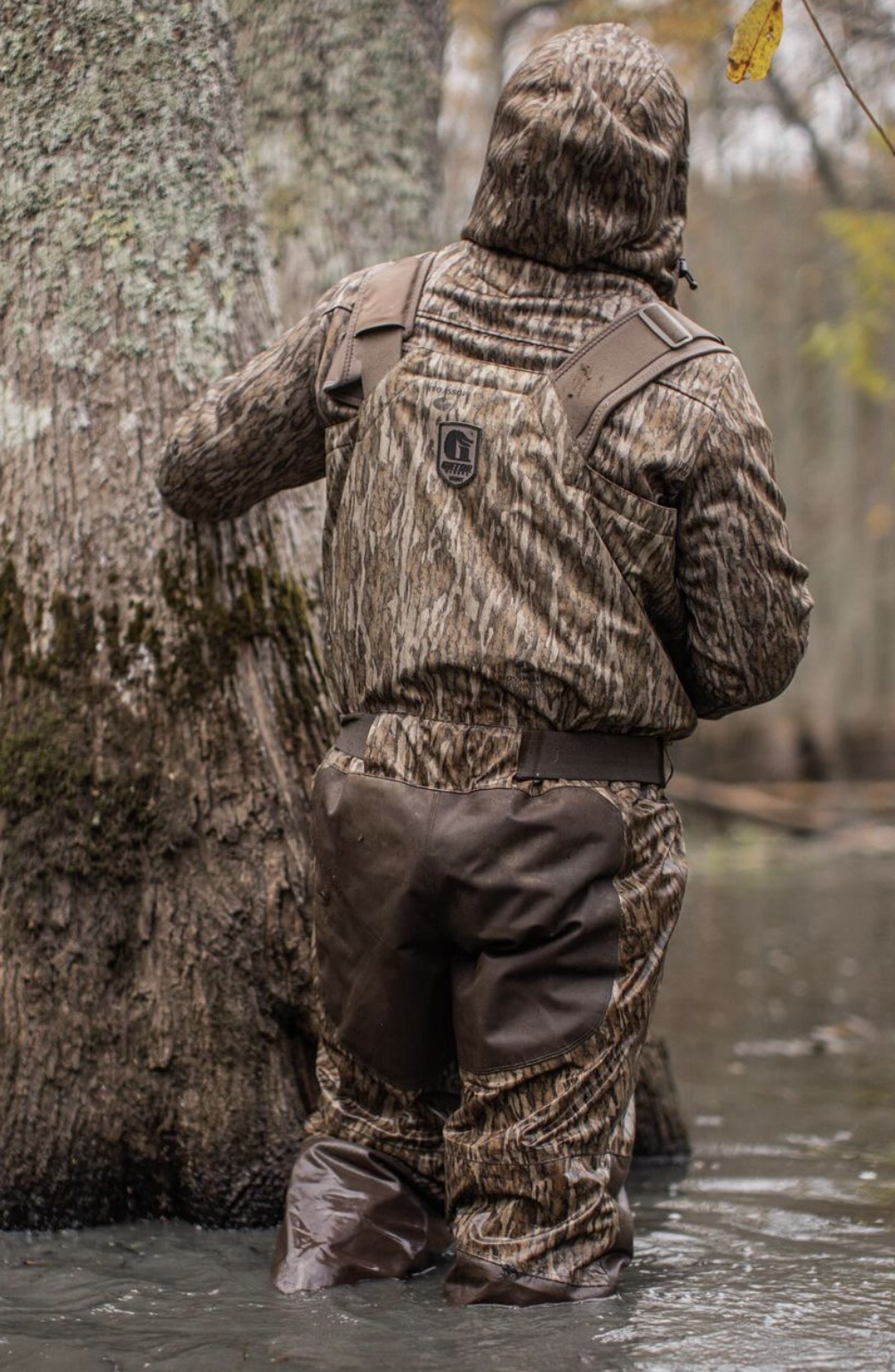 Screen Shot 2025-01-31 at 2.06.39 PM.png