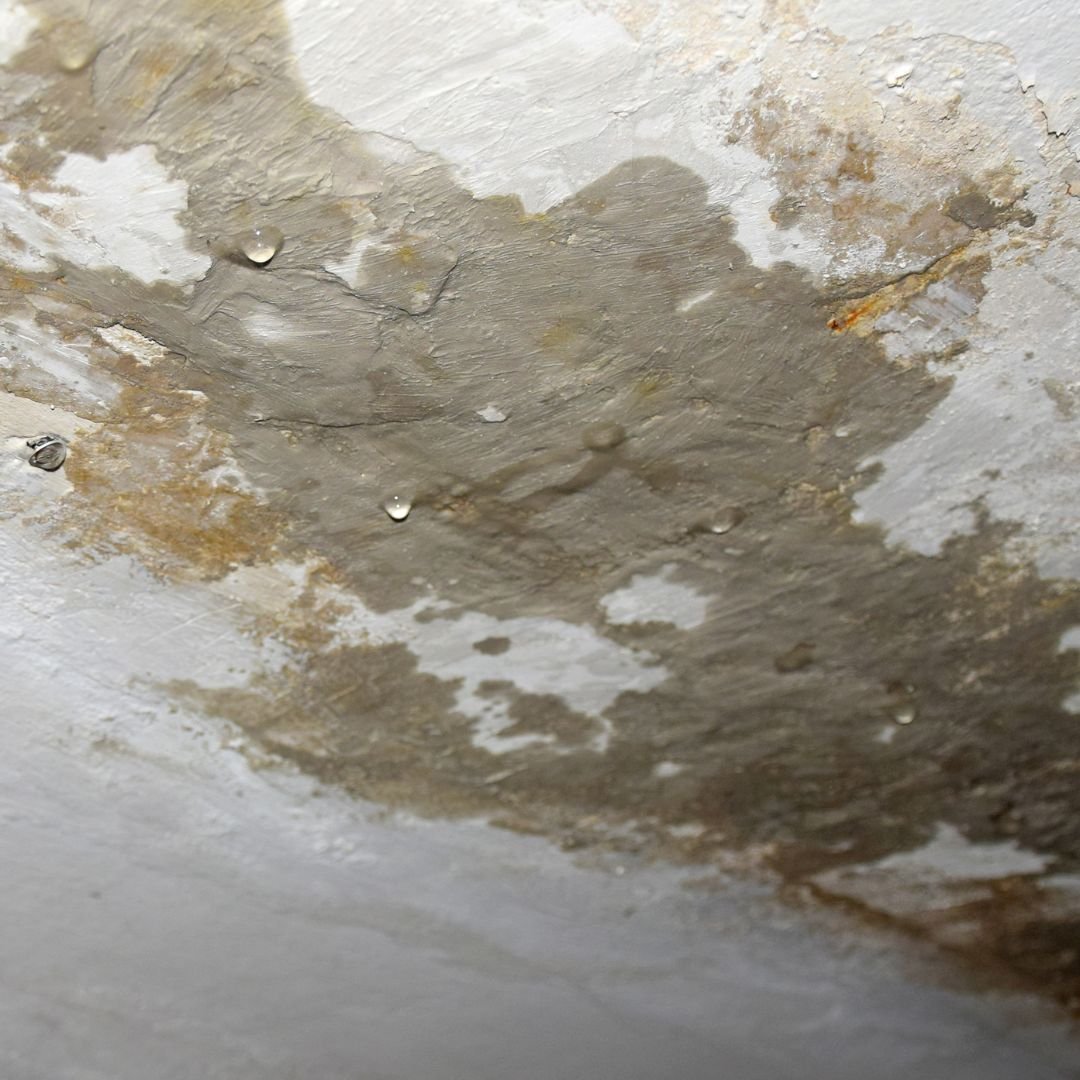 Can Your Museum Really Afford to be Invisible?