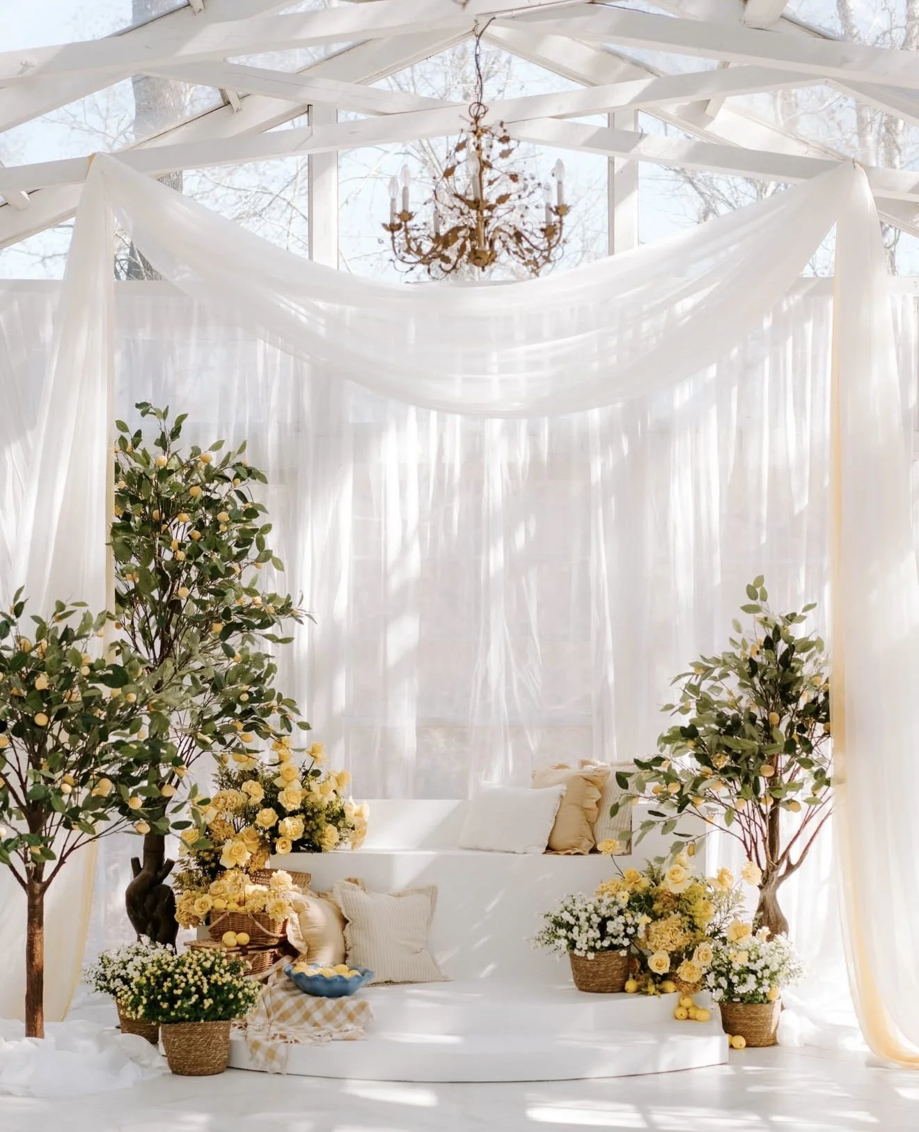 Woodlands Photographer