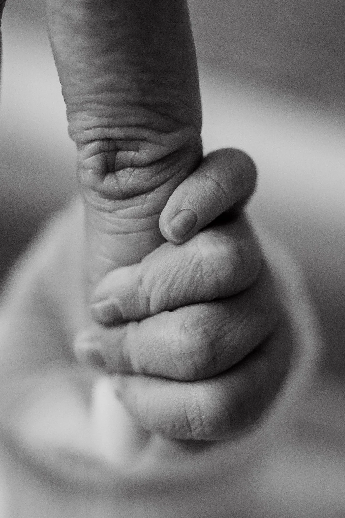 sweet tiny fingers at Fresh 48 session with Vanessa Tobias Photo