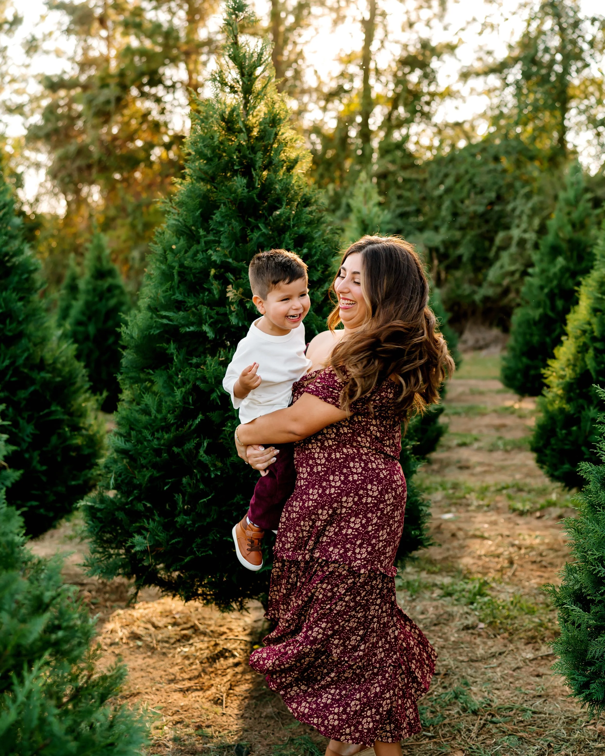 Christmas Woodlands Photographer
