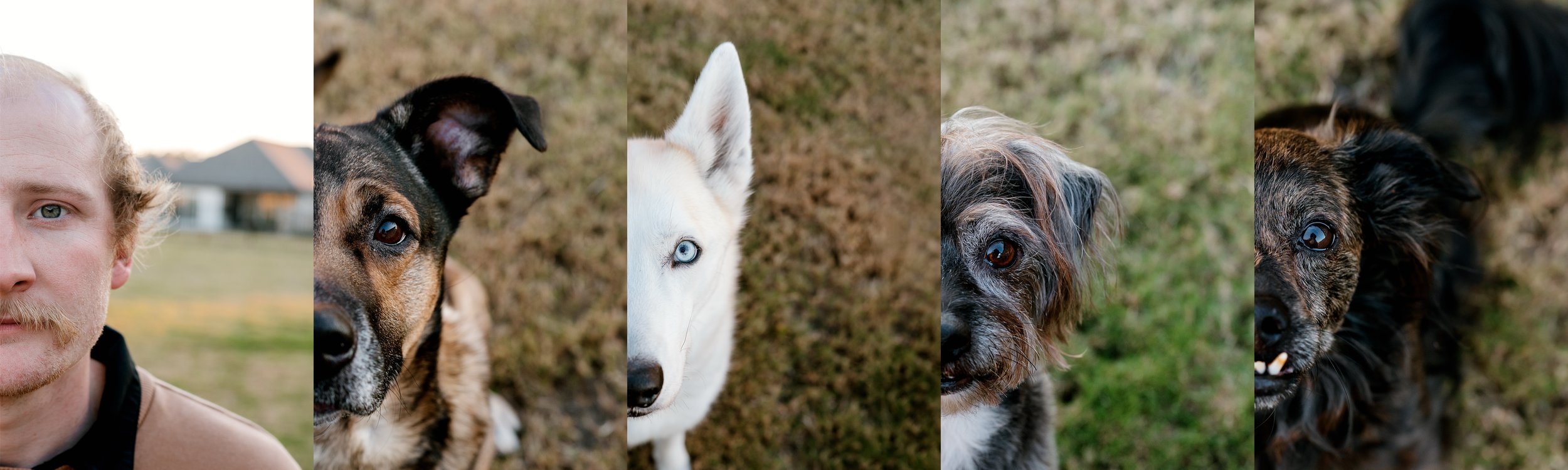 Vanessa Tobias family and dogs