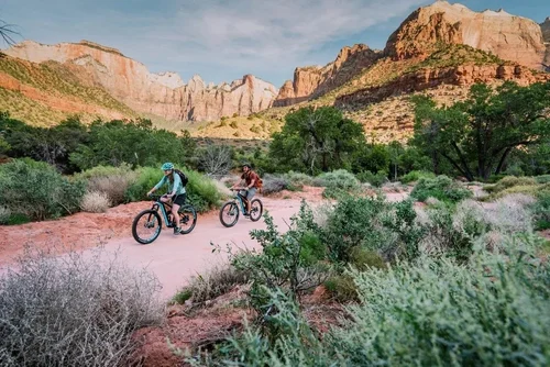 E-Bike Rental in Springdale